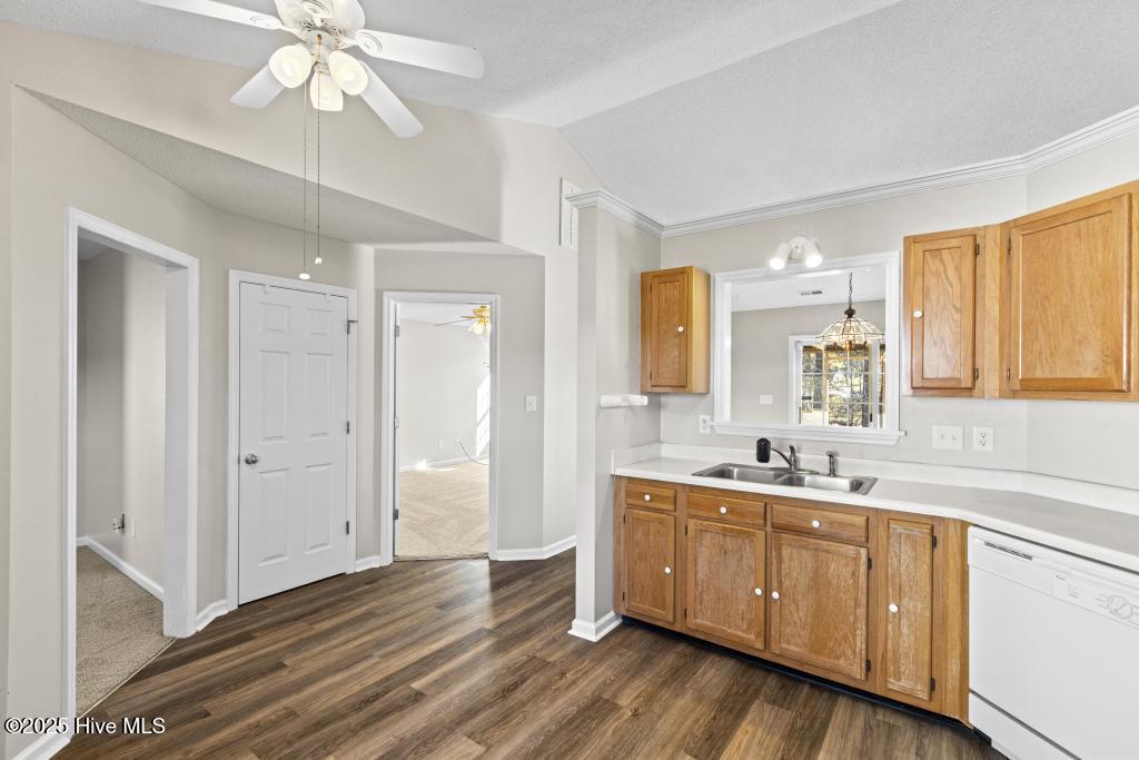 100546857 | Photo 16