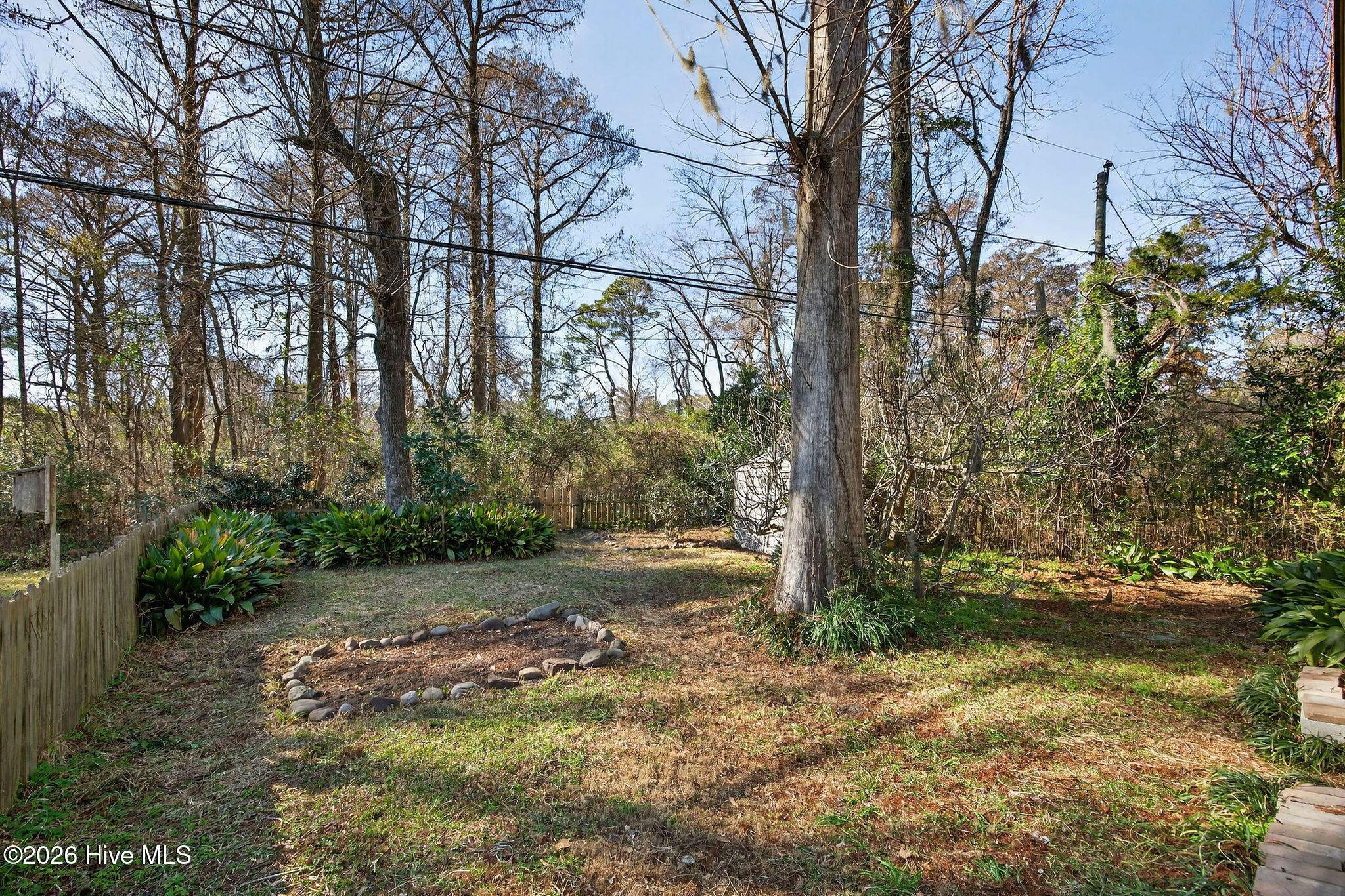 100551294 | Photo 27