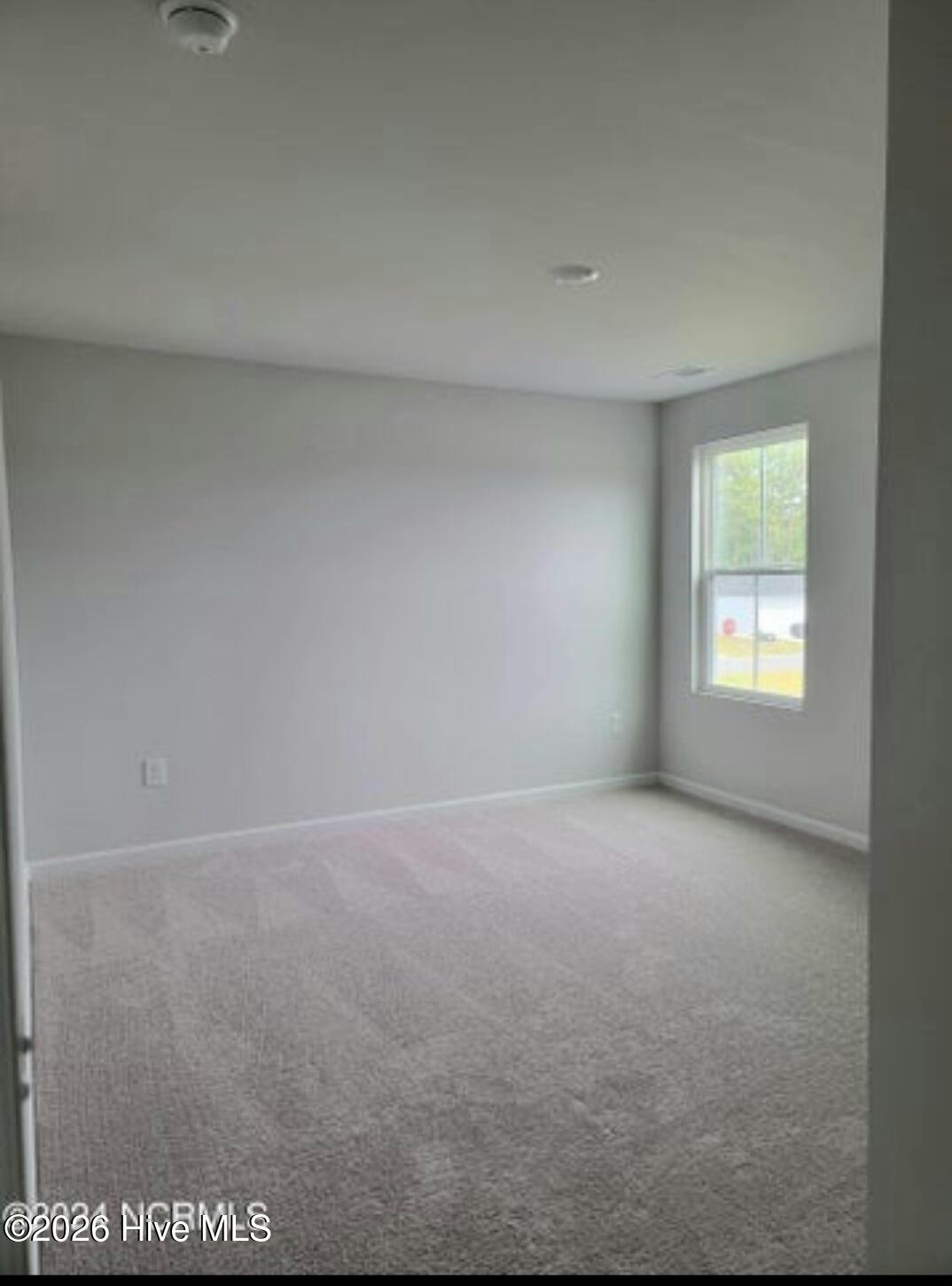 100564971 | Photo 19