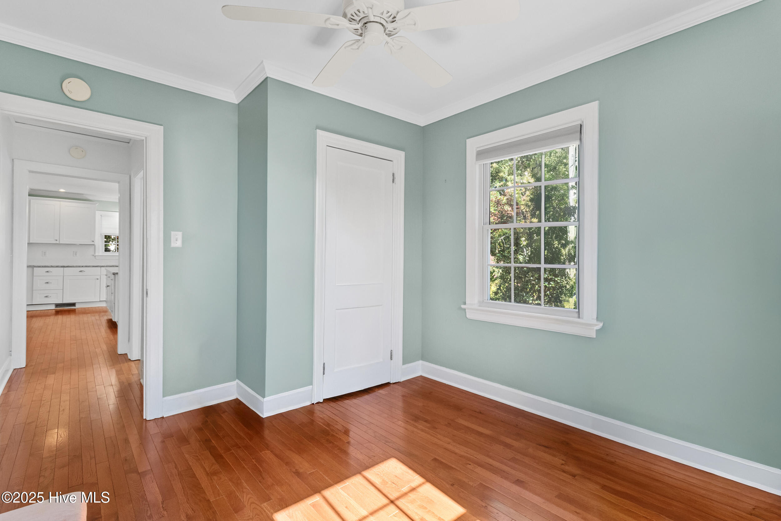 100538519 | Photo 16