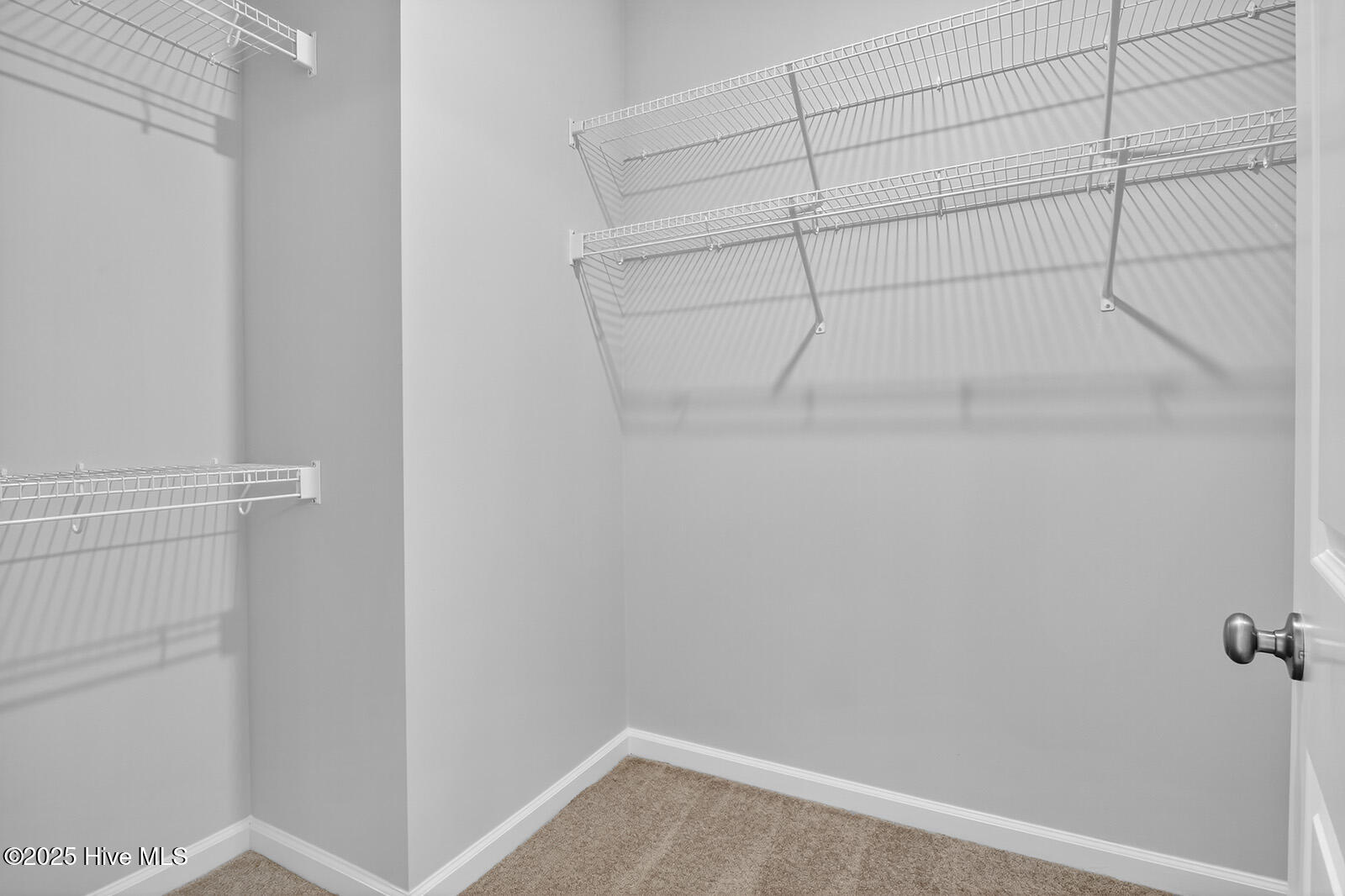 100559094 | Photo 16