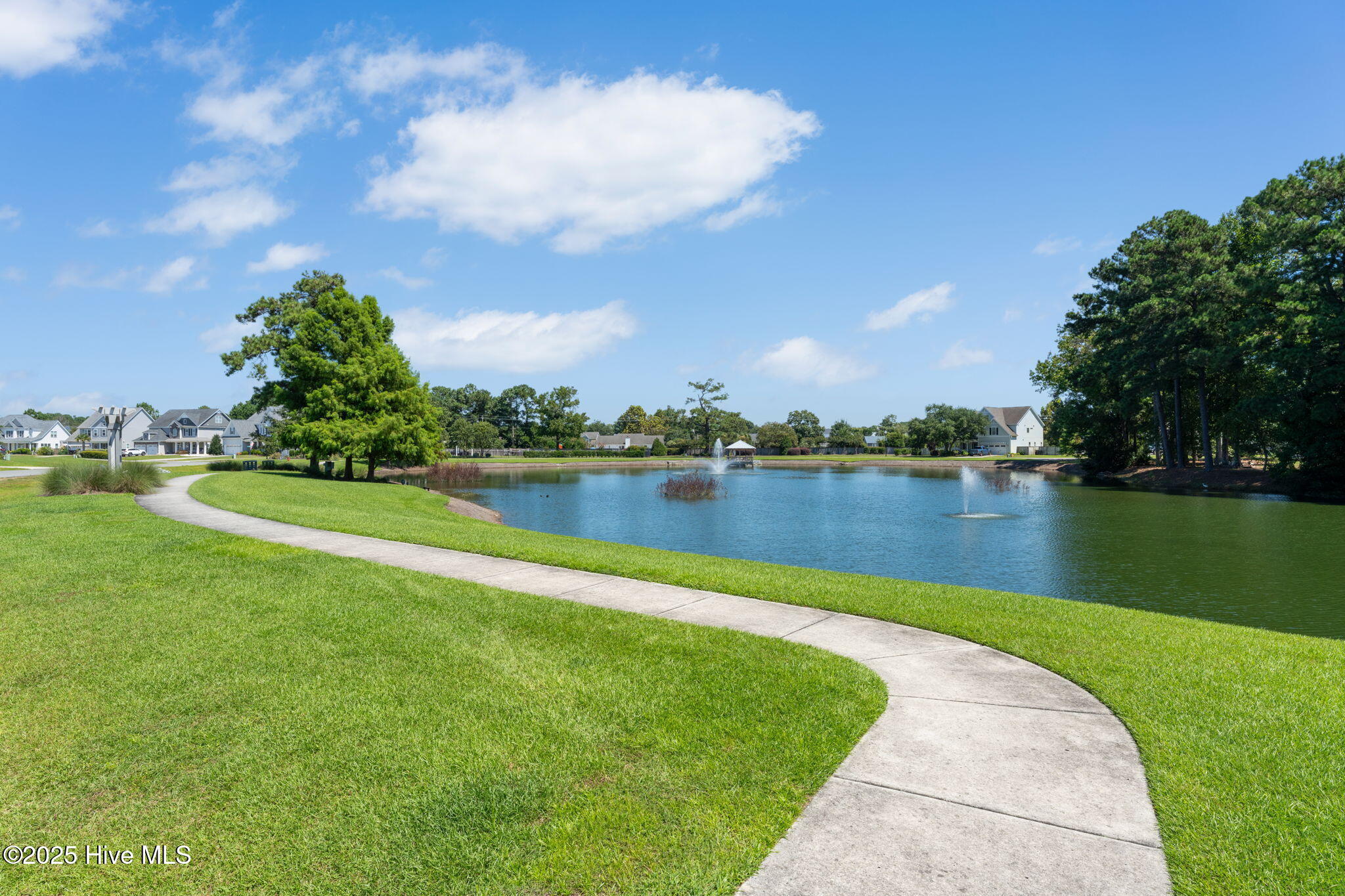 100527863 | Photo 69