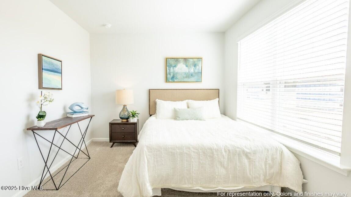 100545384 | Photo 12