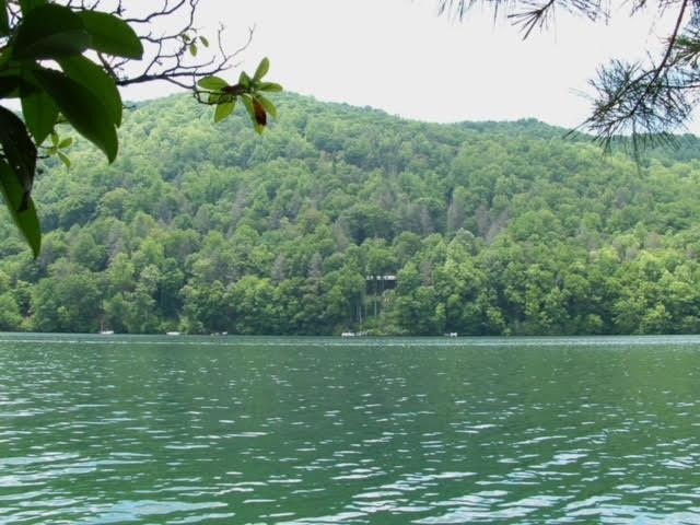 Homes for sale in Topton, NC | Lot 41 Indian Lake Dr, Topton, NC 28781 | MLS# 98544198