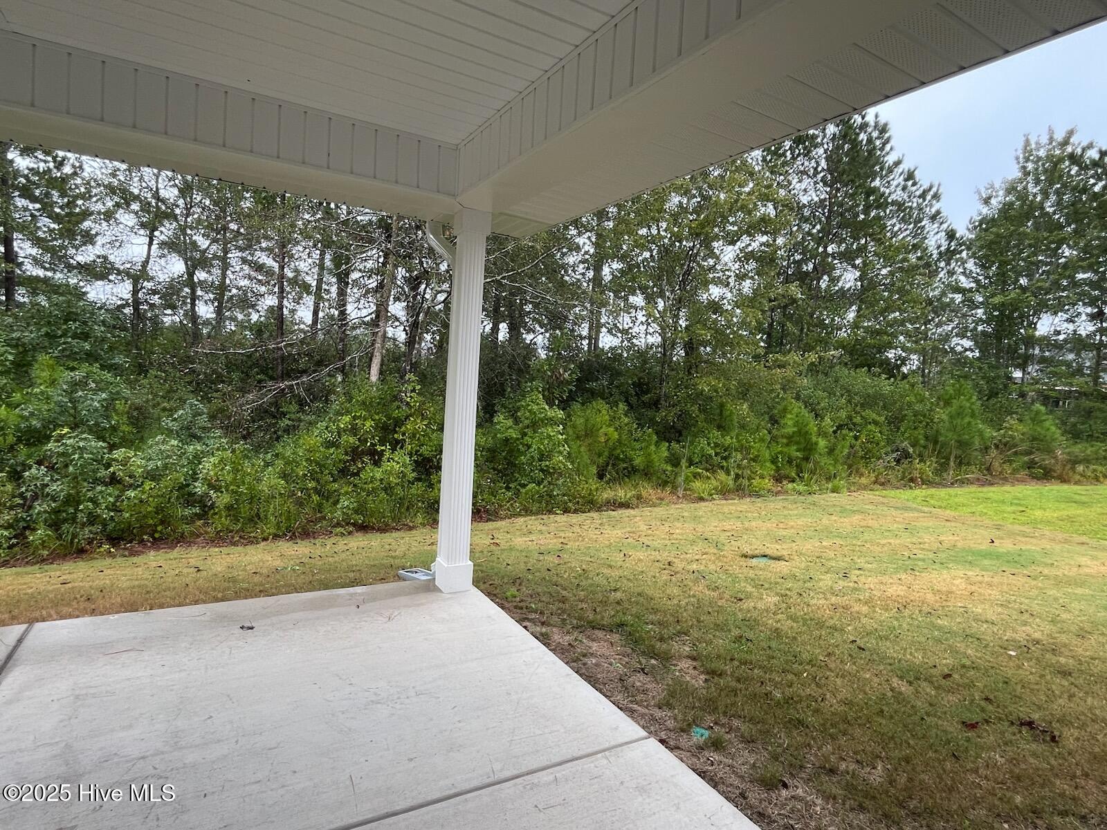 100428148 | Photo 41