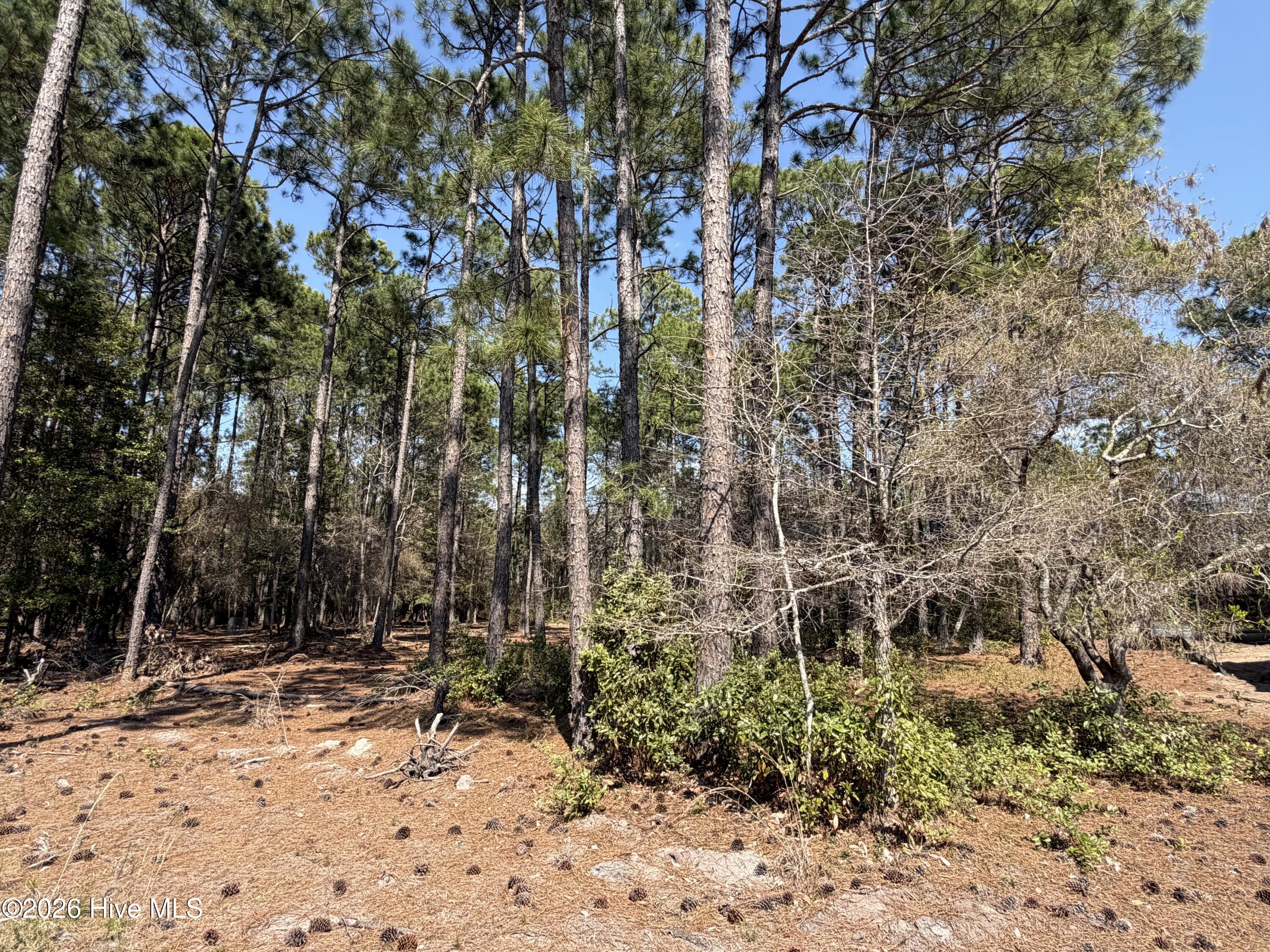 100569970 | Photo 11