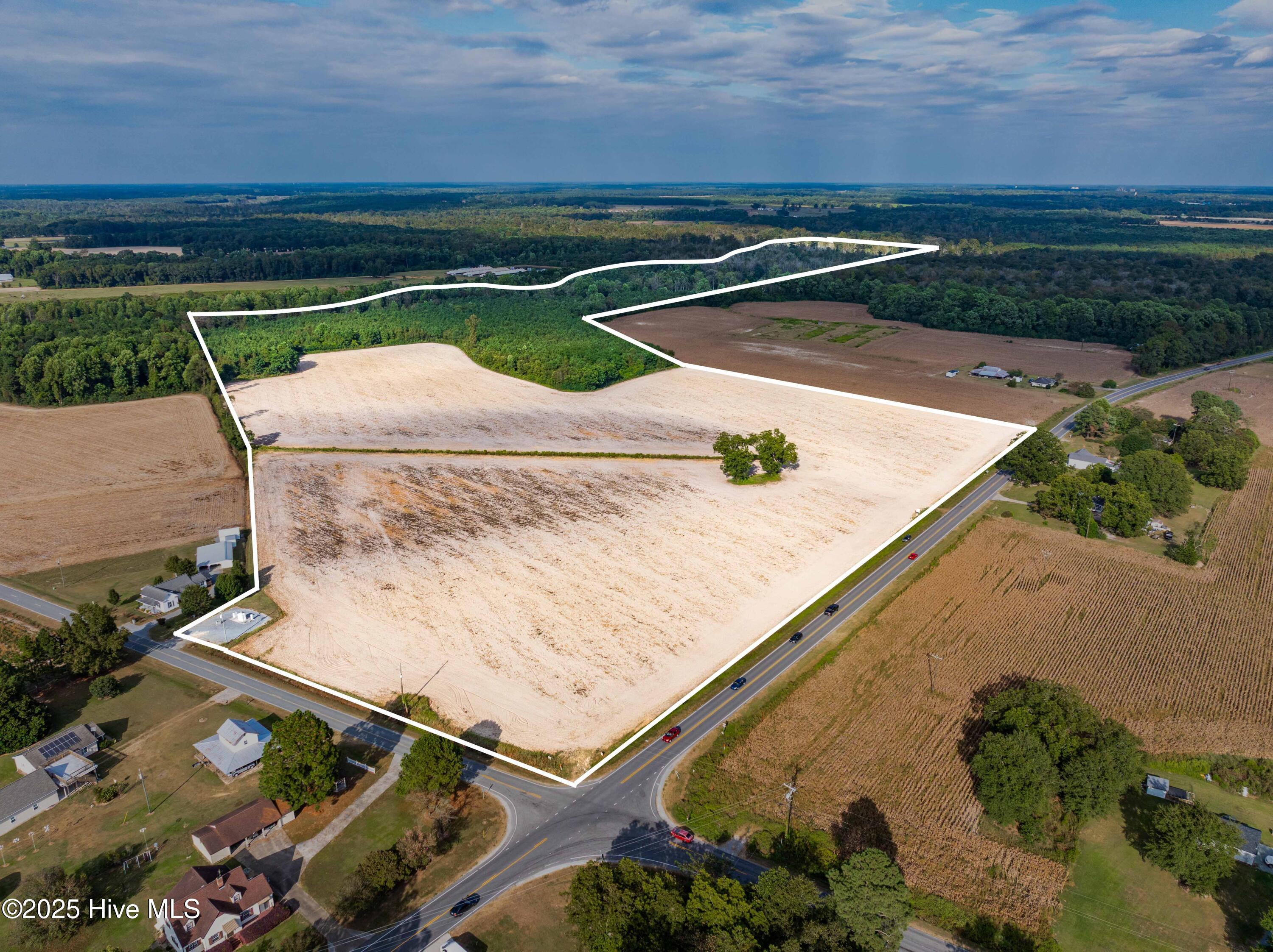 Homes for sale in Clinton, NC | 0 Moltonville Rd, Clinton, NC 28328 | MLS# 100528117