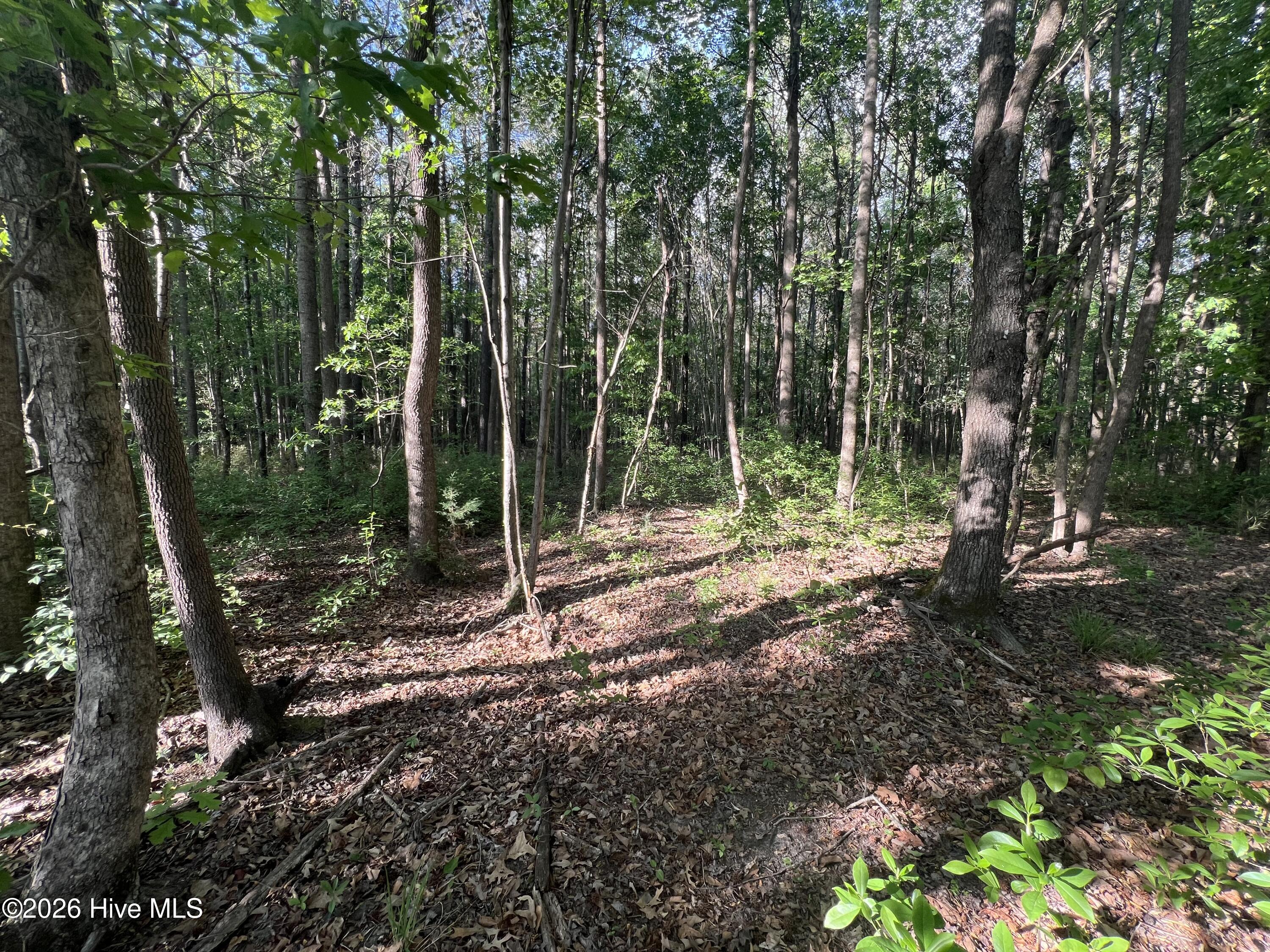 0 Nc 30, Stokes, NC, 27884