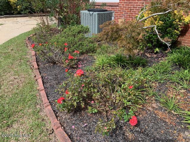 100536293 | Photo 62