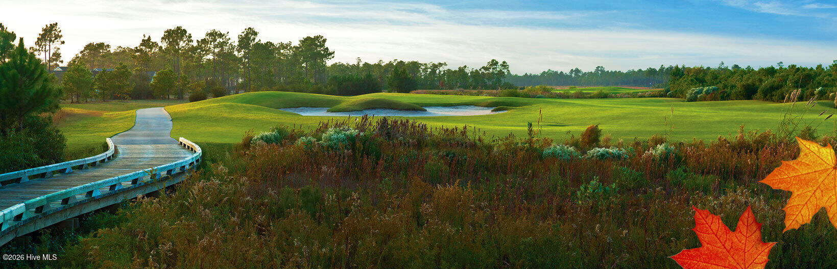 100564801 | Photo 60