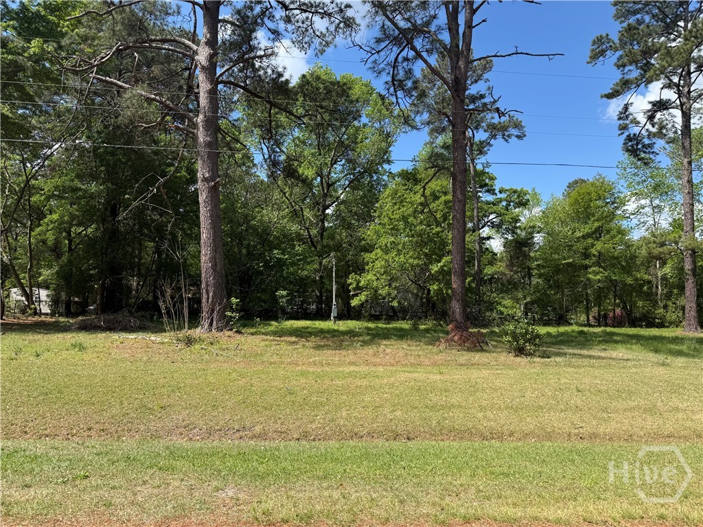 210 Wallace Circle, Bloomingdale, GA, 31302