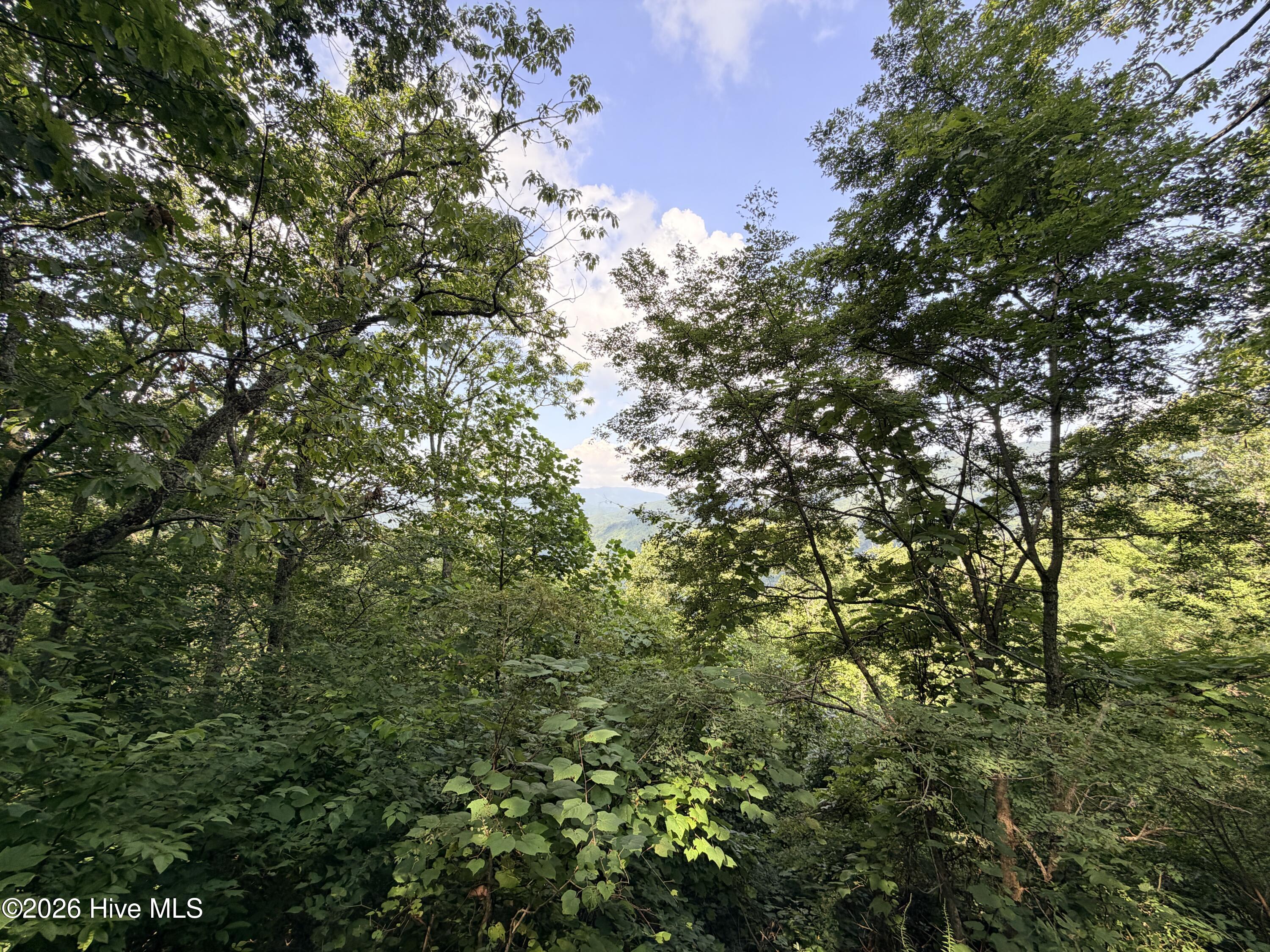 4th image of Lot 7 Mystic Ridge Way W, Topton, NC 28781 | MLS# 100596645