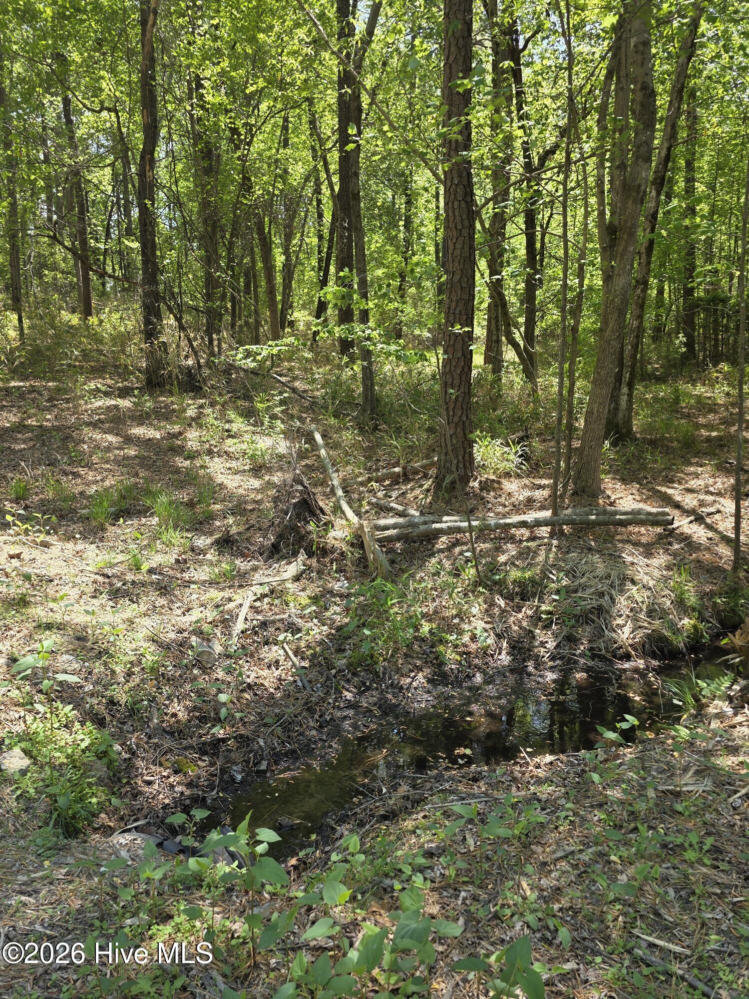 188 Shagbark Road, Seven Lakes, NC, 27376