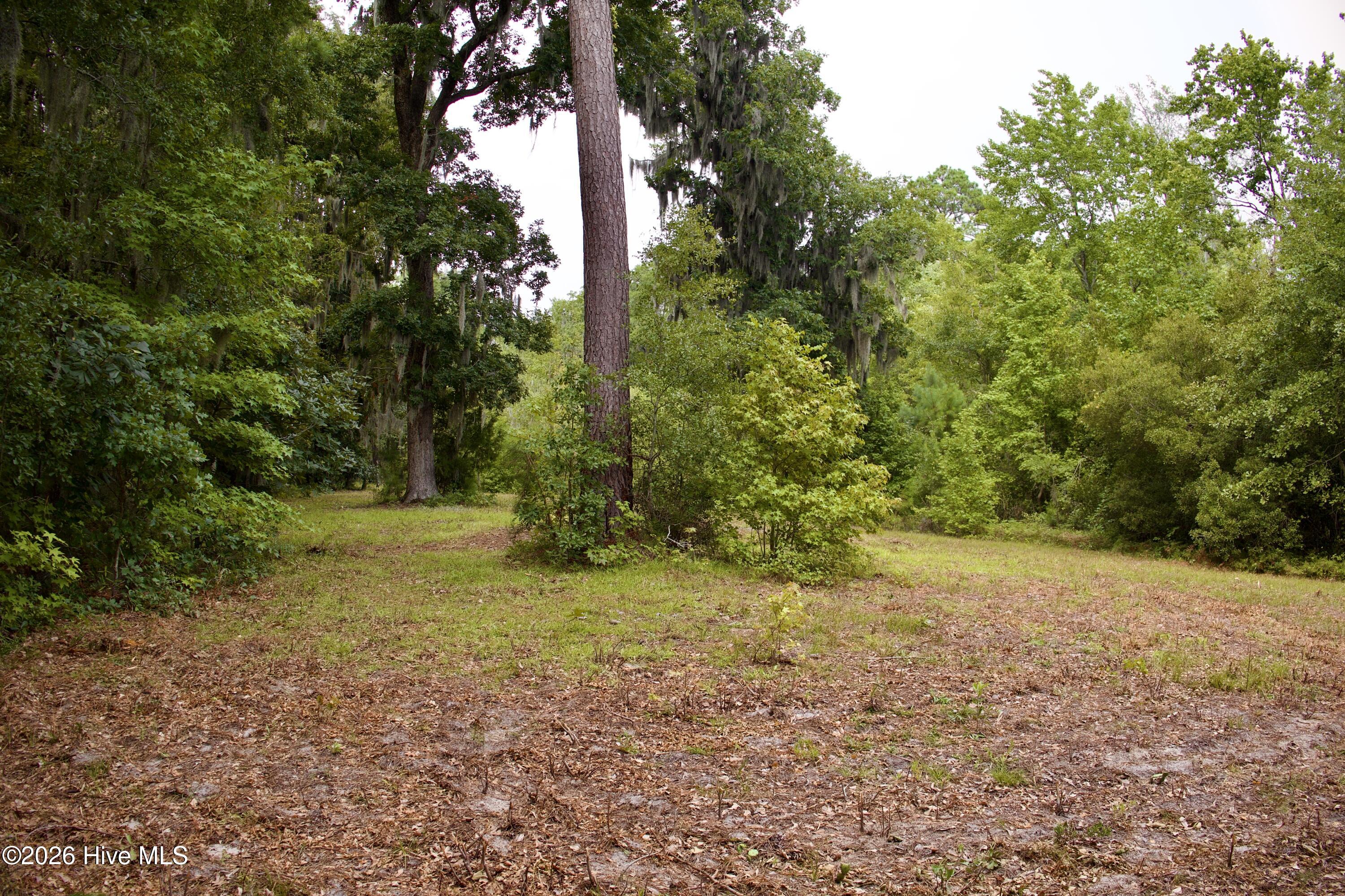 385 Sand Ridge Road,New Bern