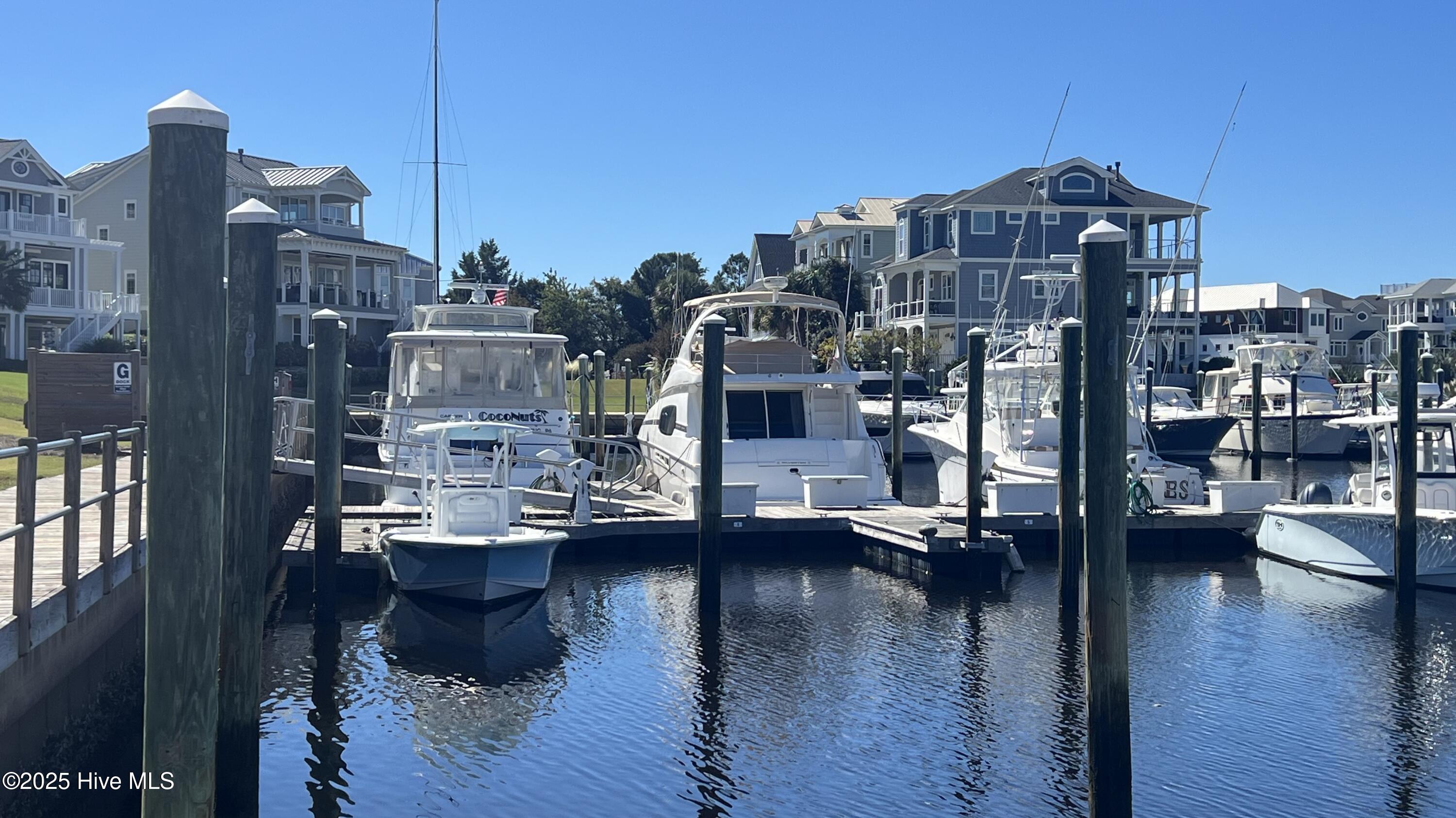 100537325 | Photo 18