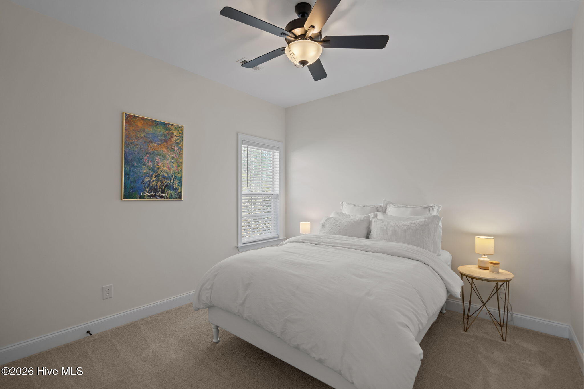 100567141 | Photo 22