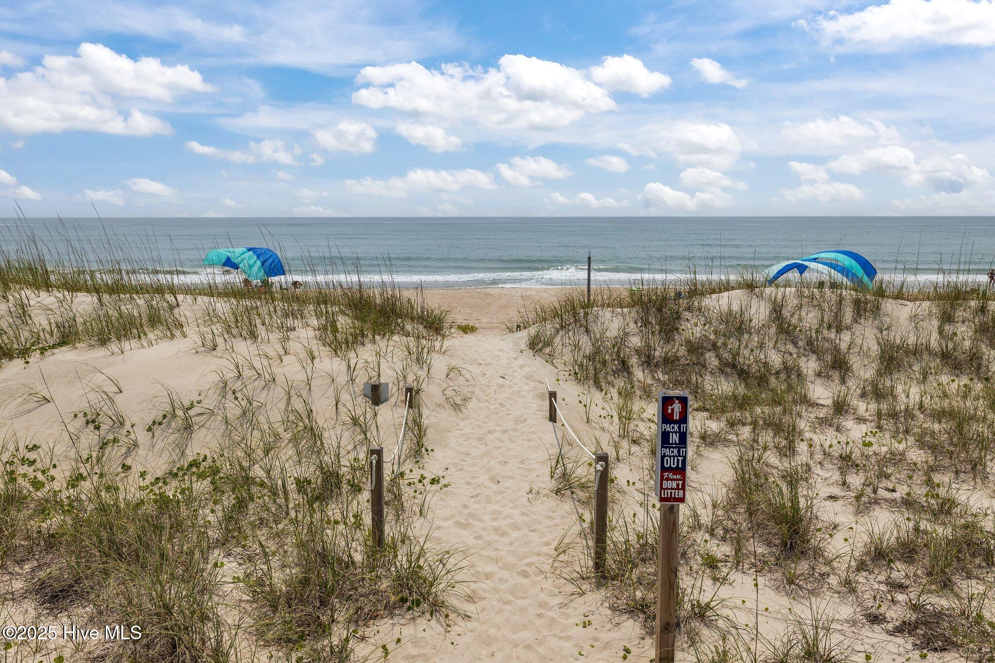 100509576 | Photo 50