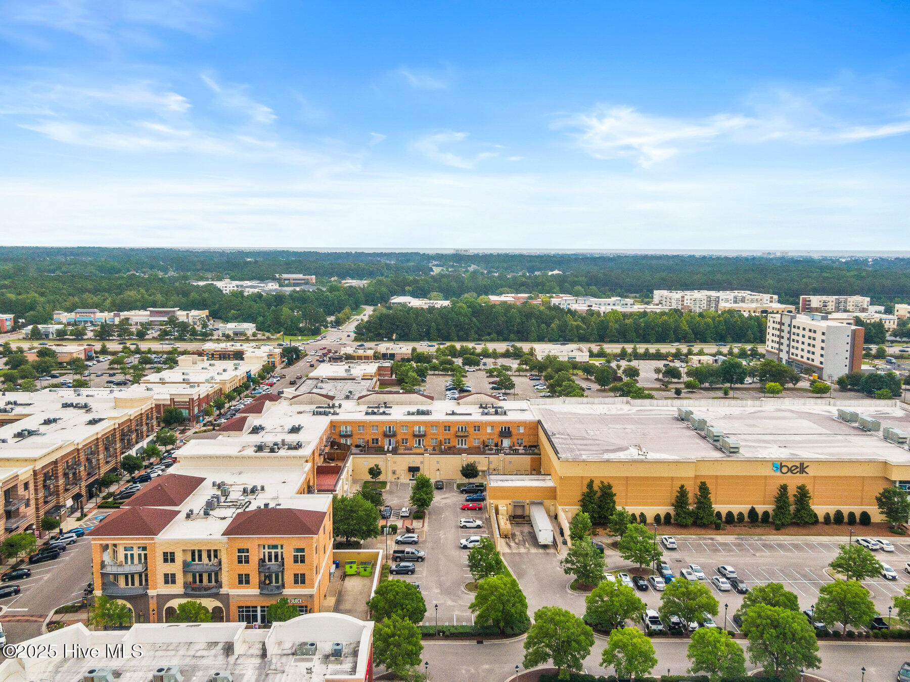 100518149 | Photo 40