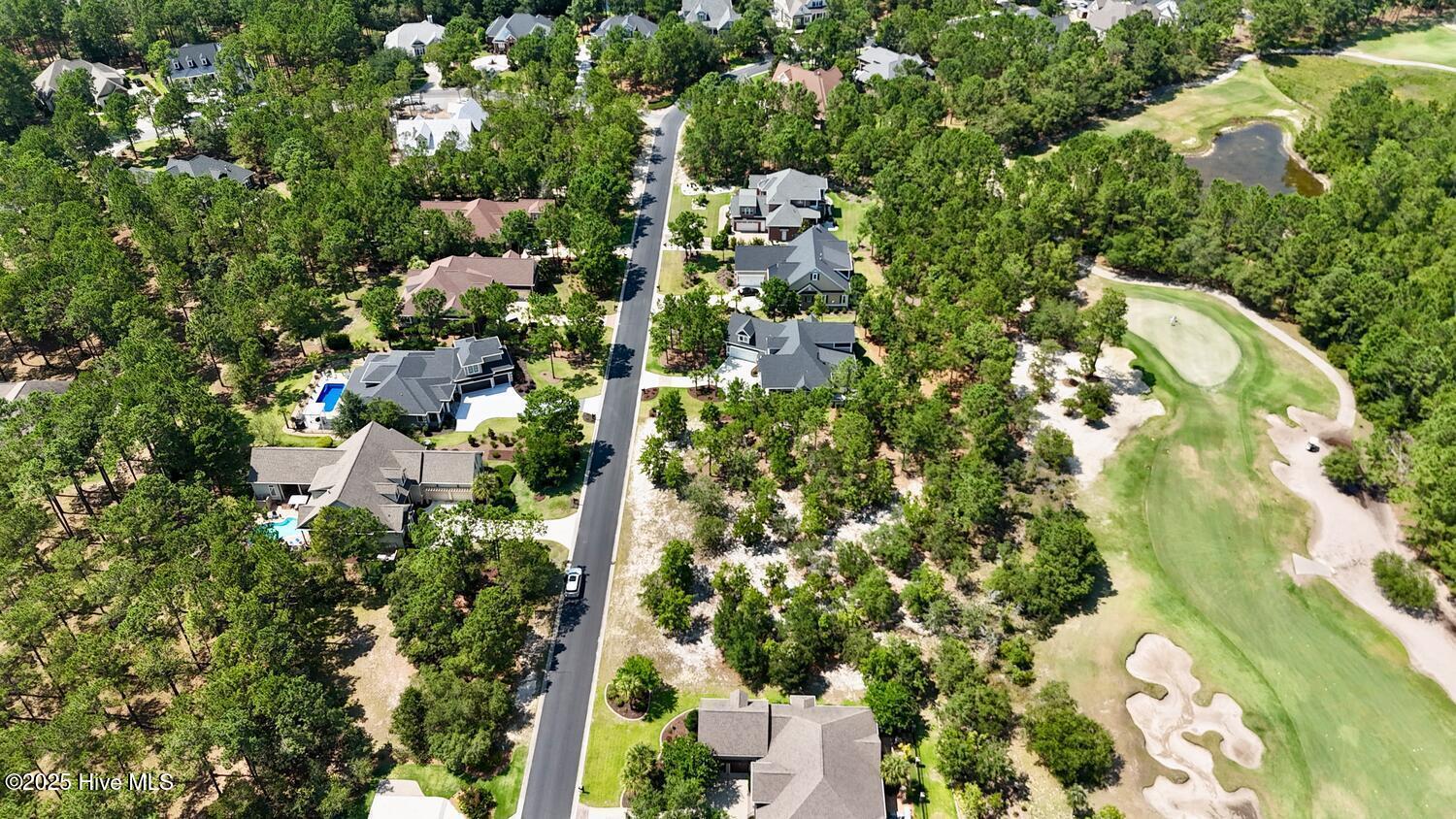 100554375 | Photo 53