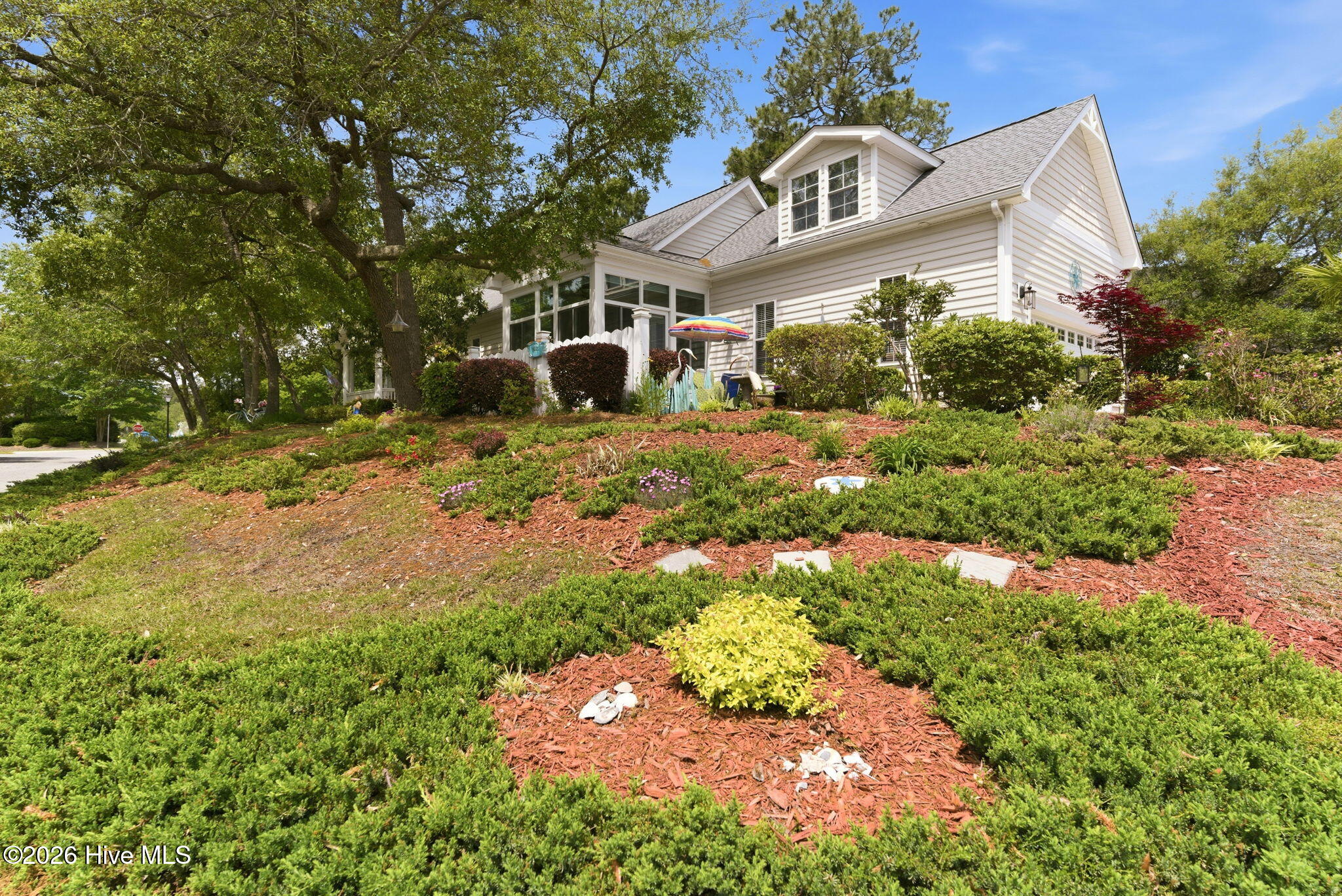 100569459 | Photo 53