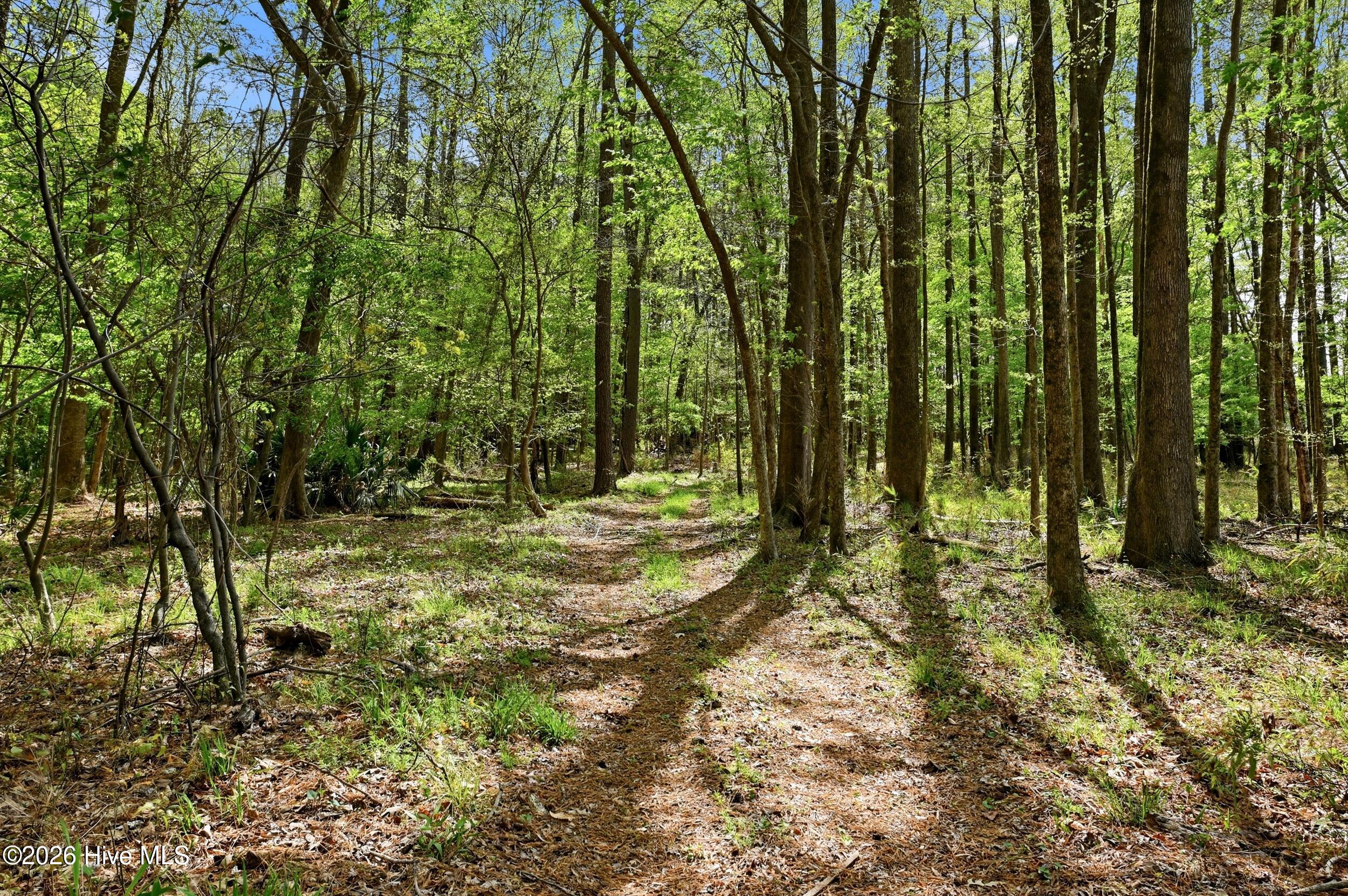 2639 Nc Highway 211, Clarkton, NC, 28433