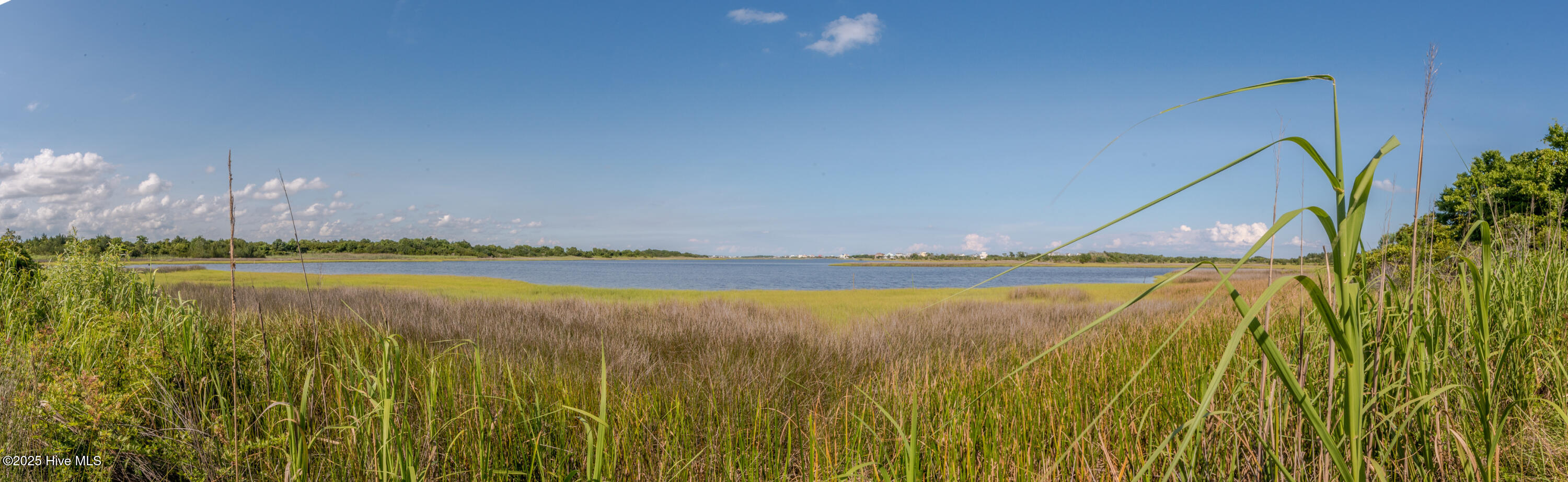 100523712 | Photo 11