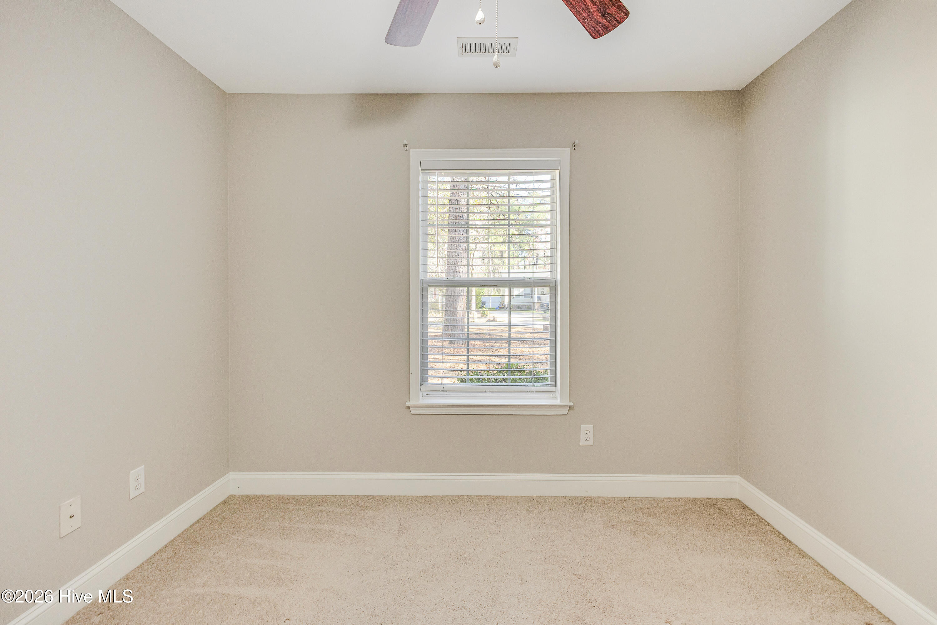 100559243 | Photo 24