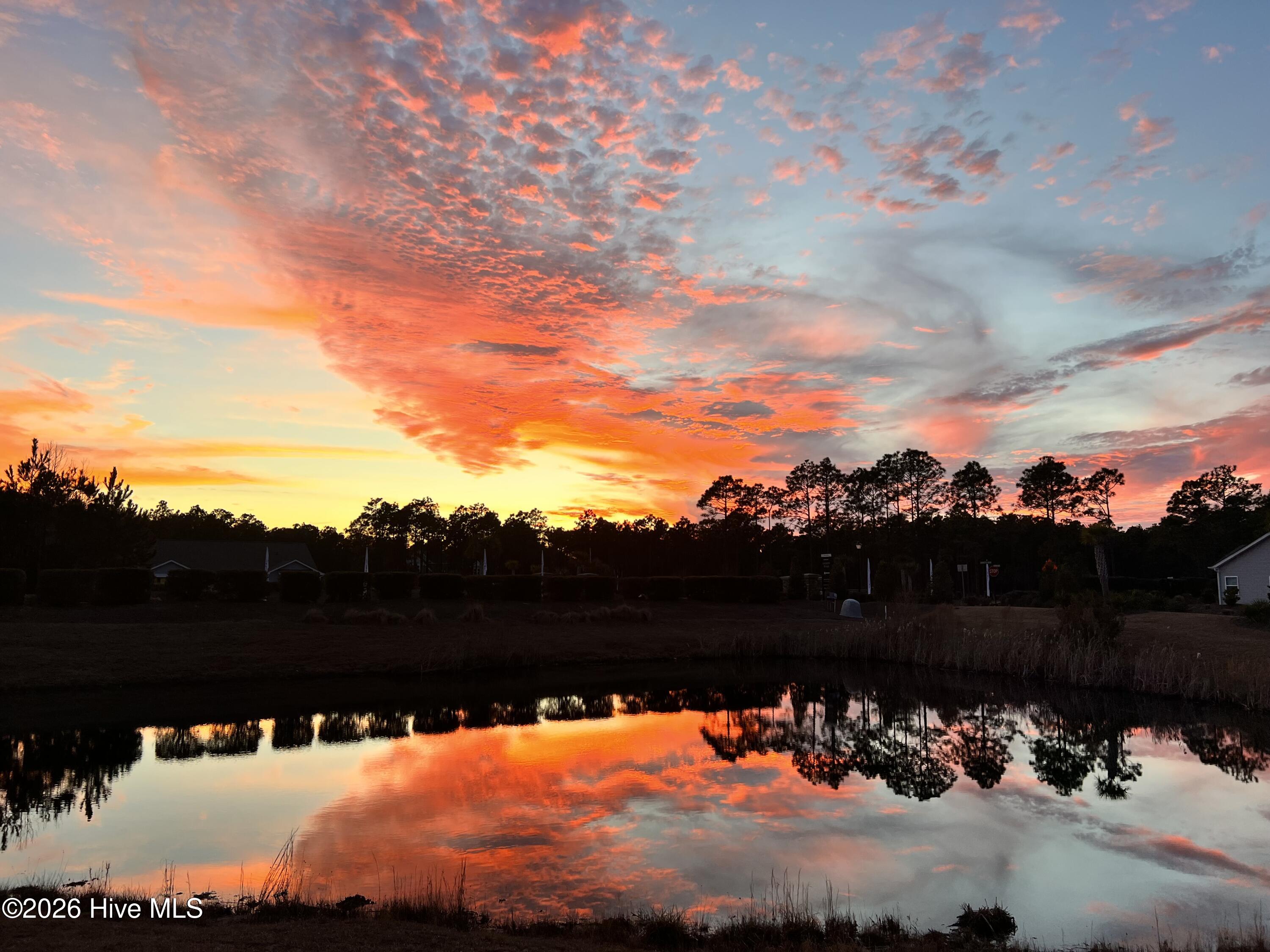 100553635 | Photo 27