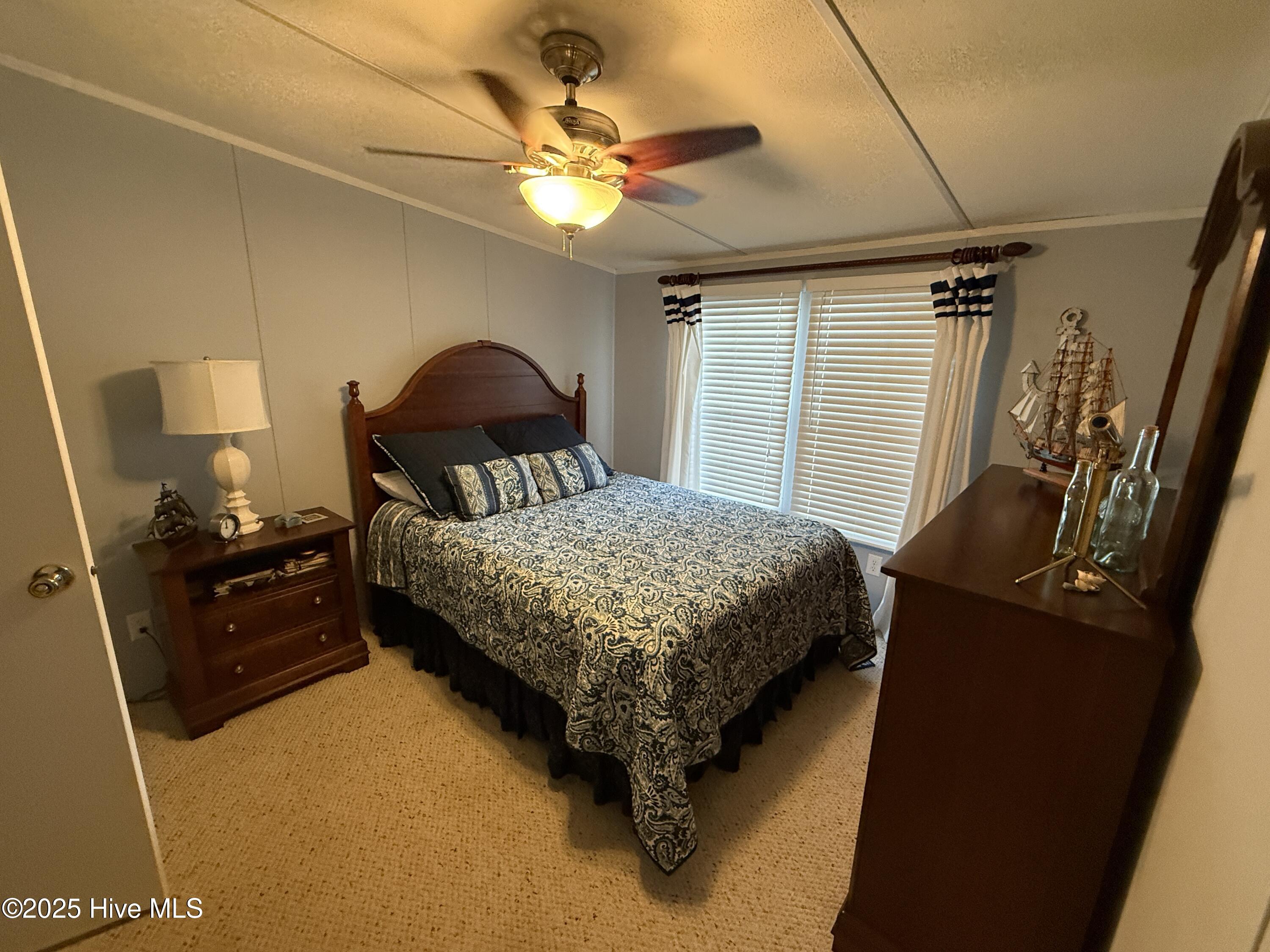 100516271 | Photo 10