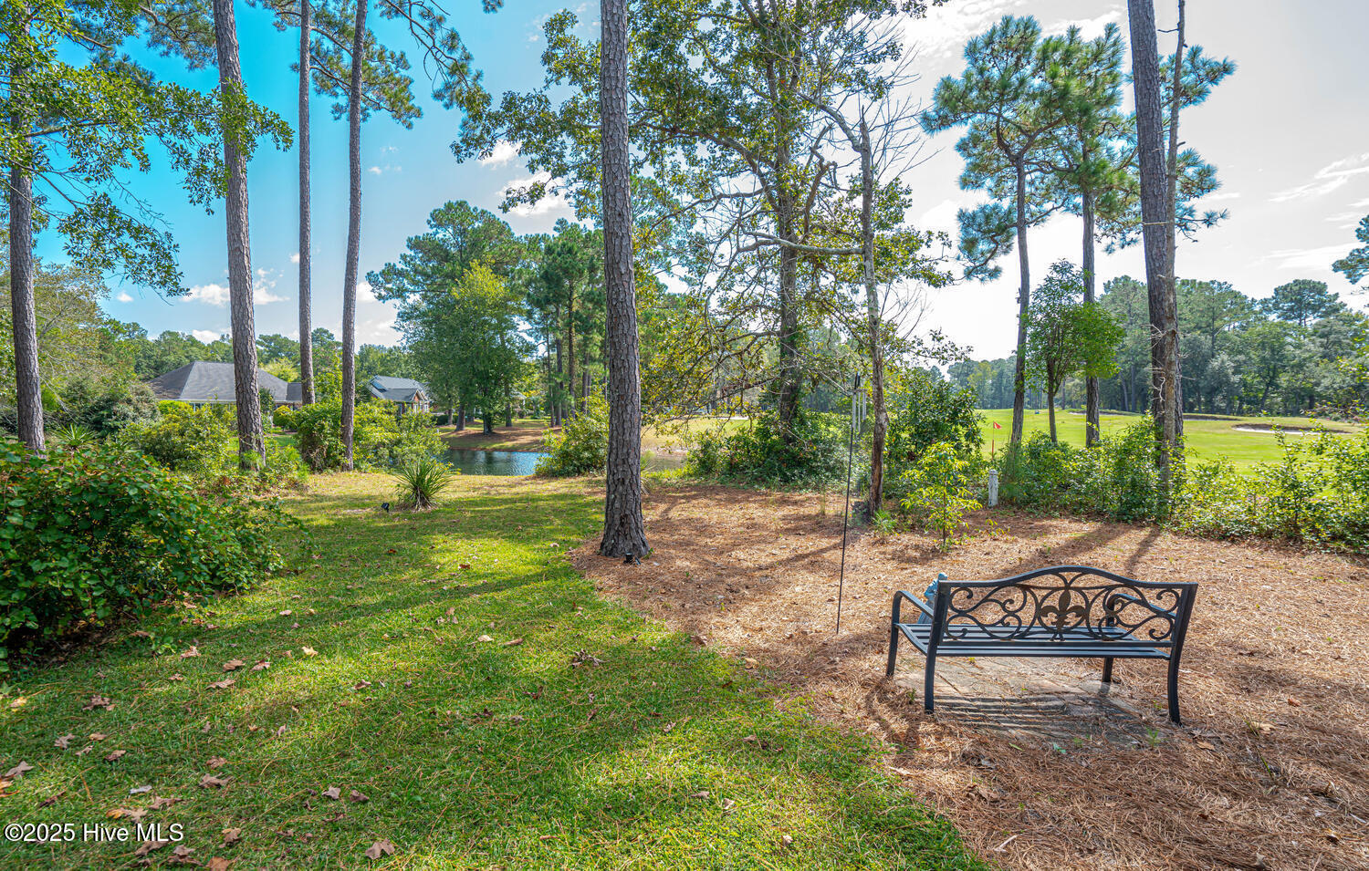 100534571 | Photo 106