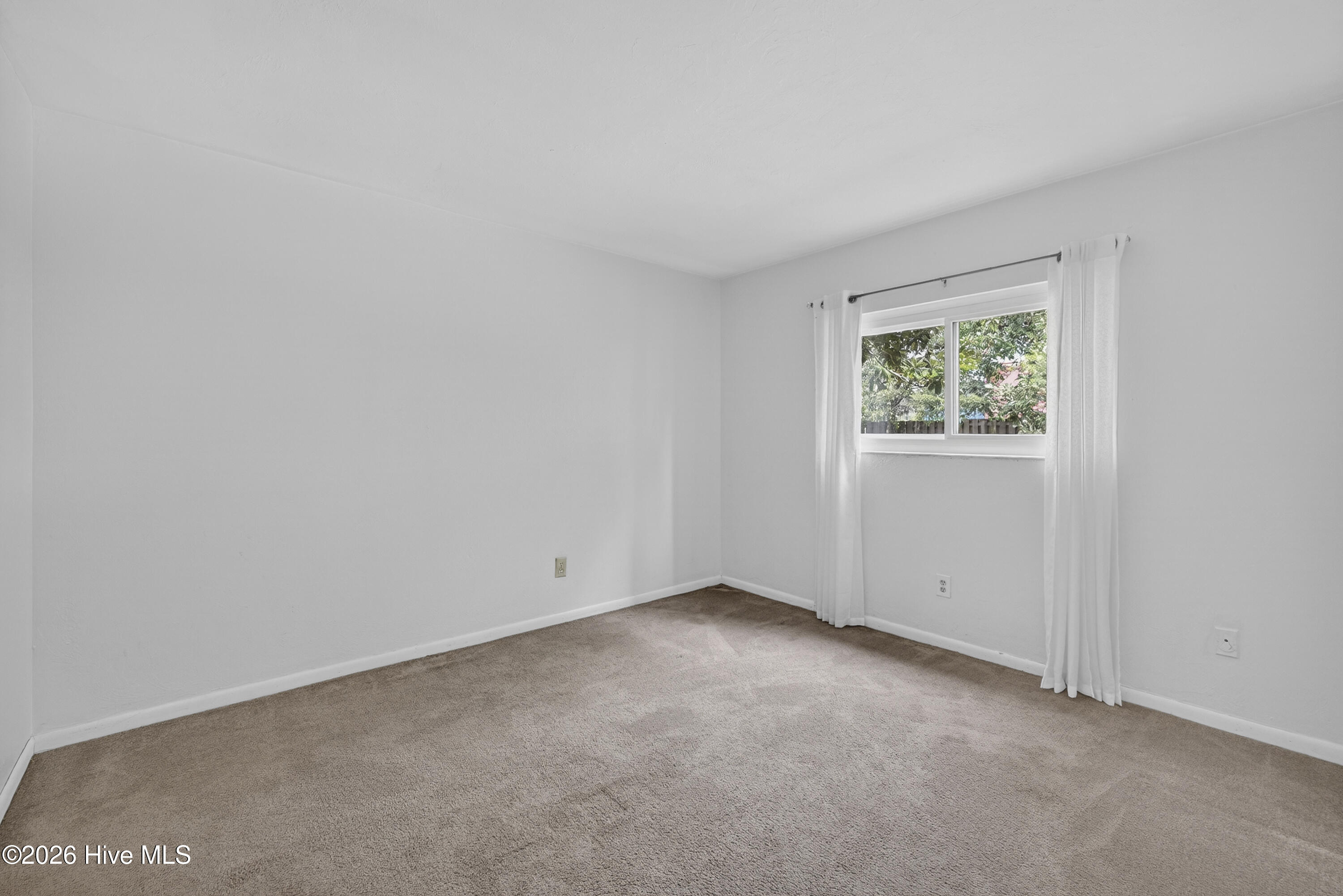 100565573 | Photo 28