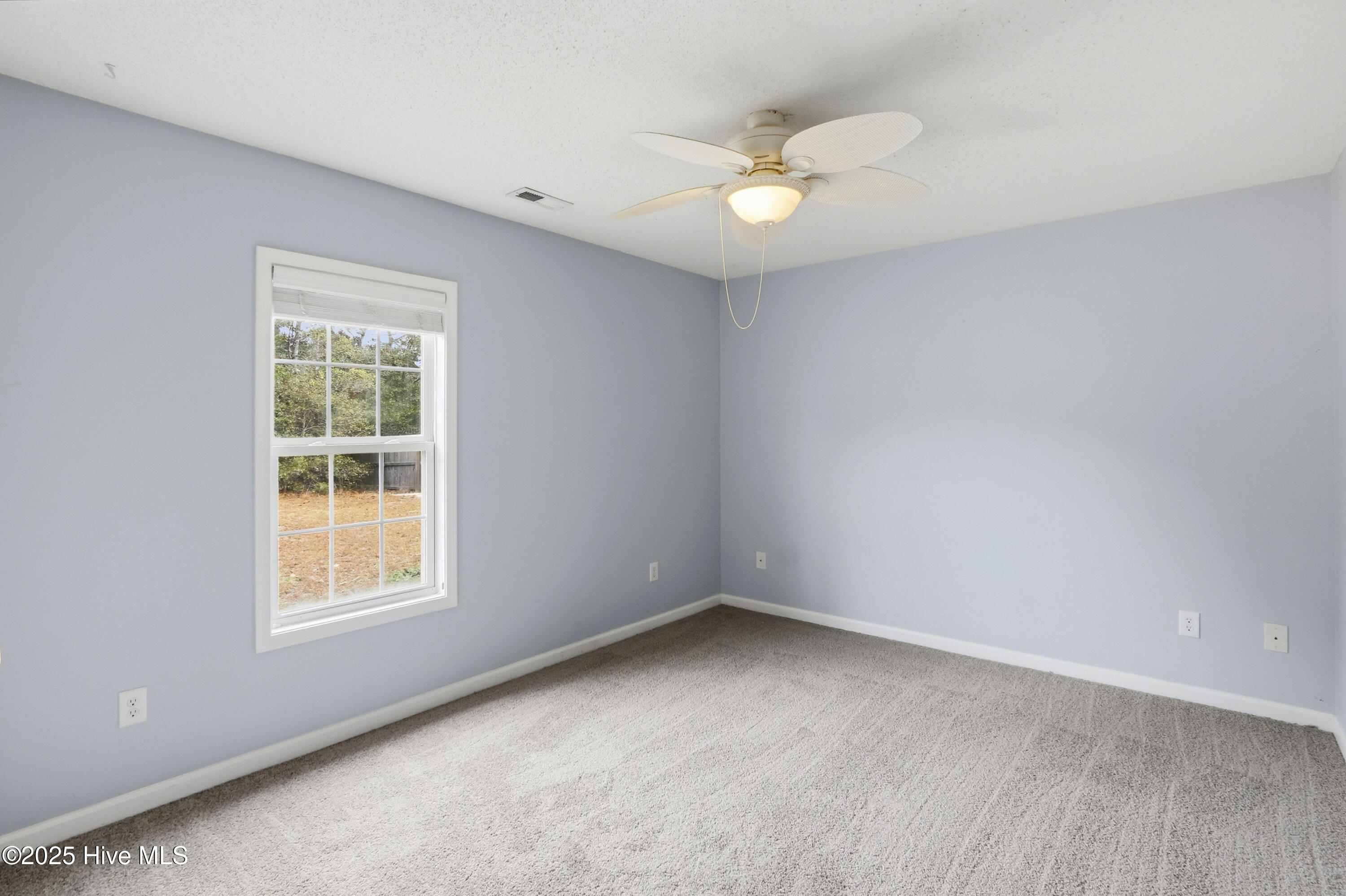 100531186 | Photo 32