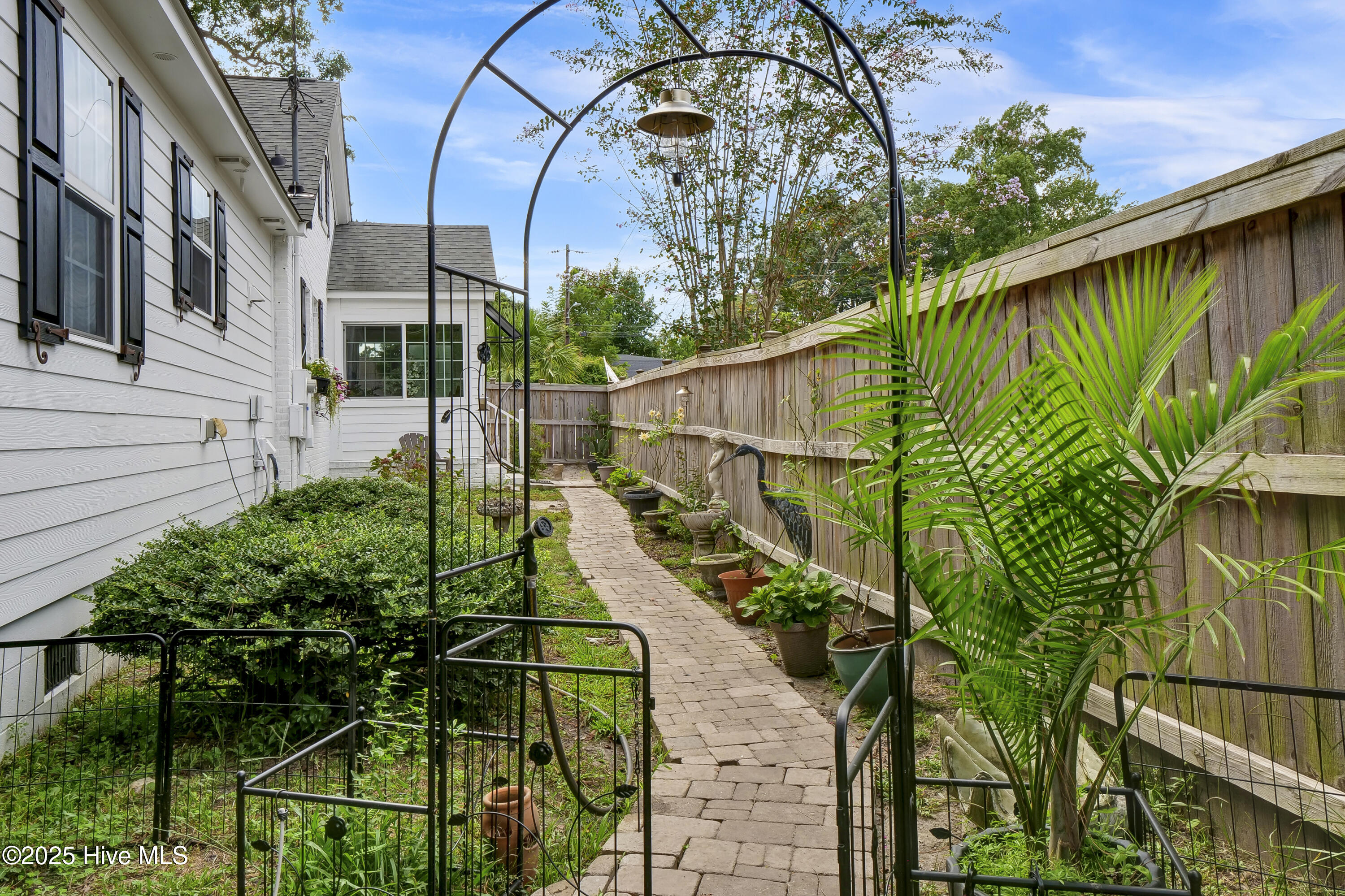 100528167 | Photo 46