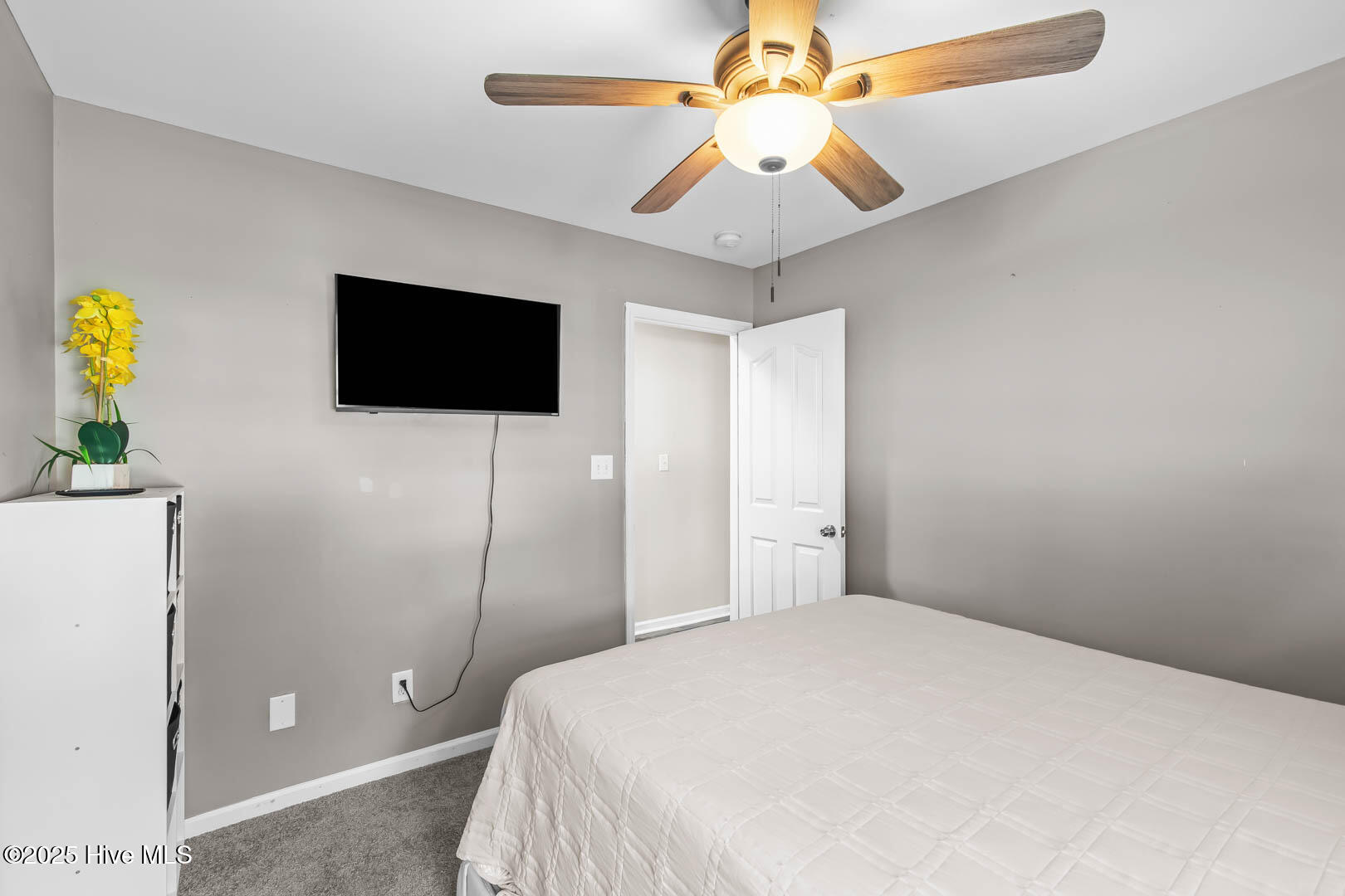 100515943 | Photo 20