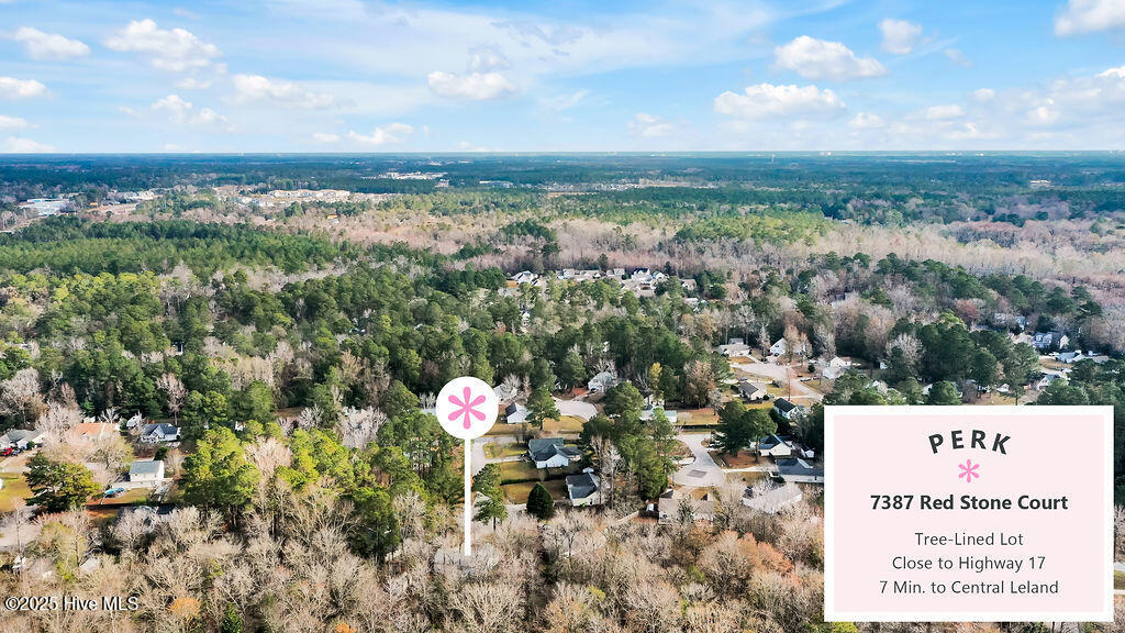 100543761 | Photo 39