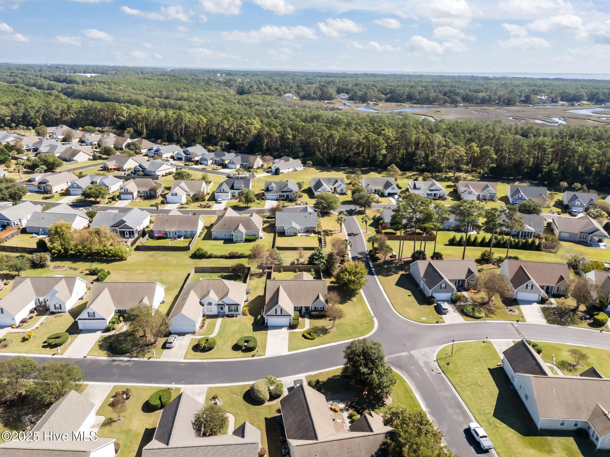 100537939 | Photo 51