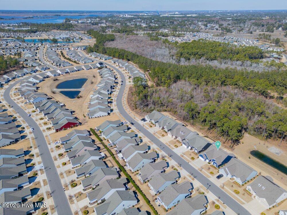 100556390 | Photo 32