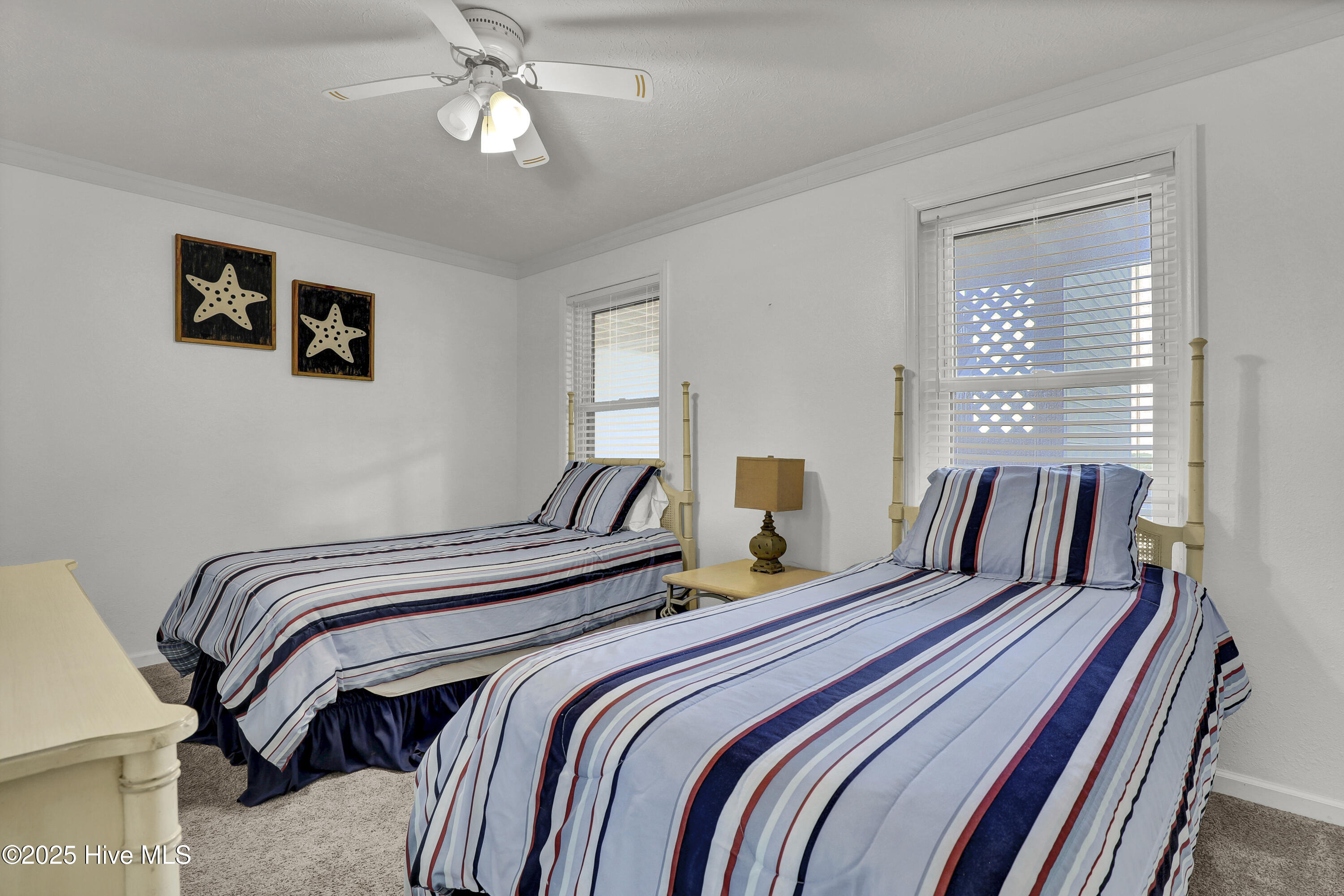 100541443 | Photo 24