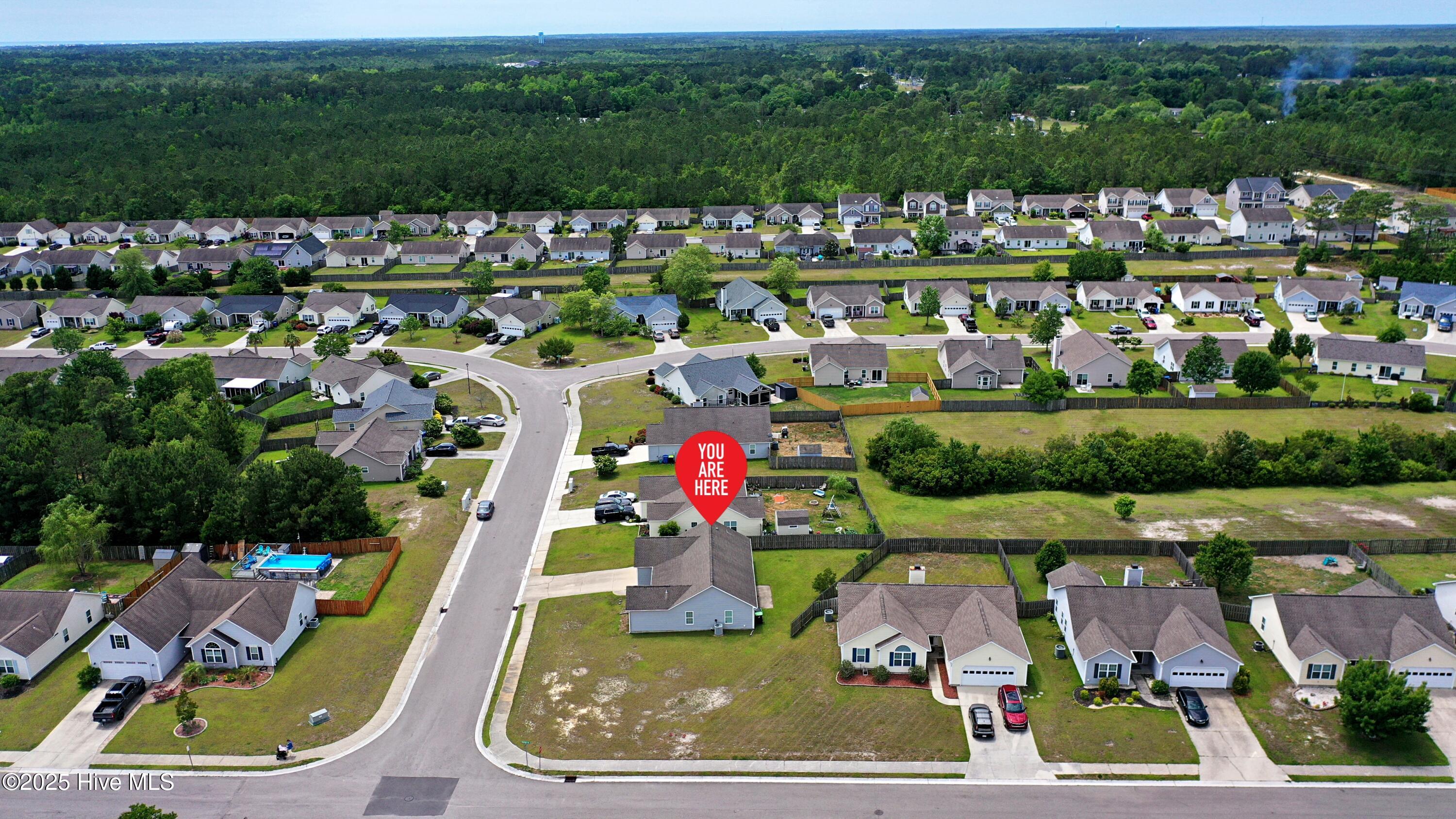 100506631 | Photo 32