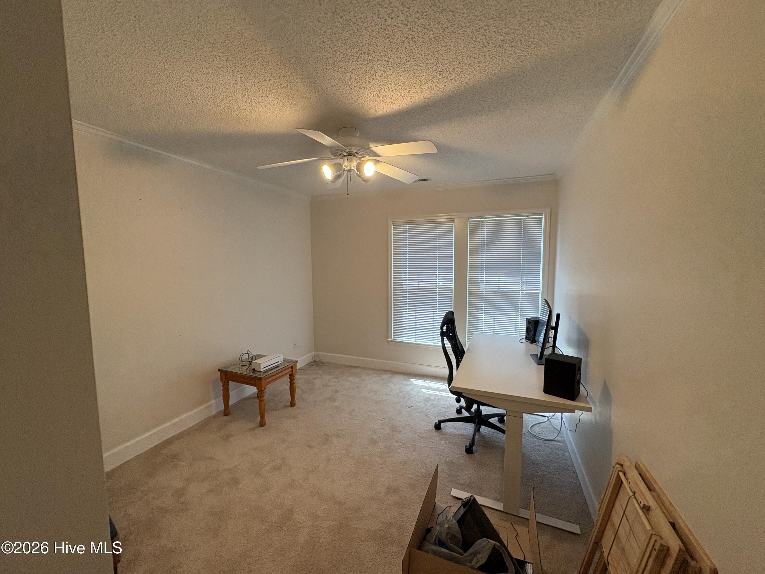 901 Firefly Court,New Bern