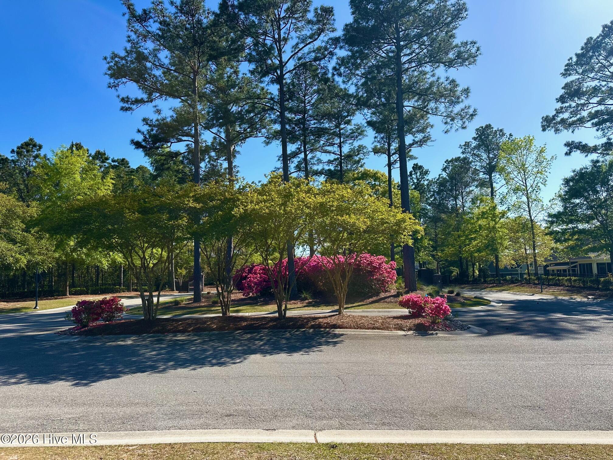 100565130 | Photo 60