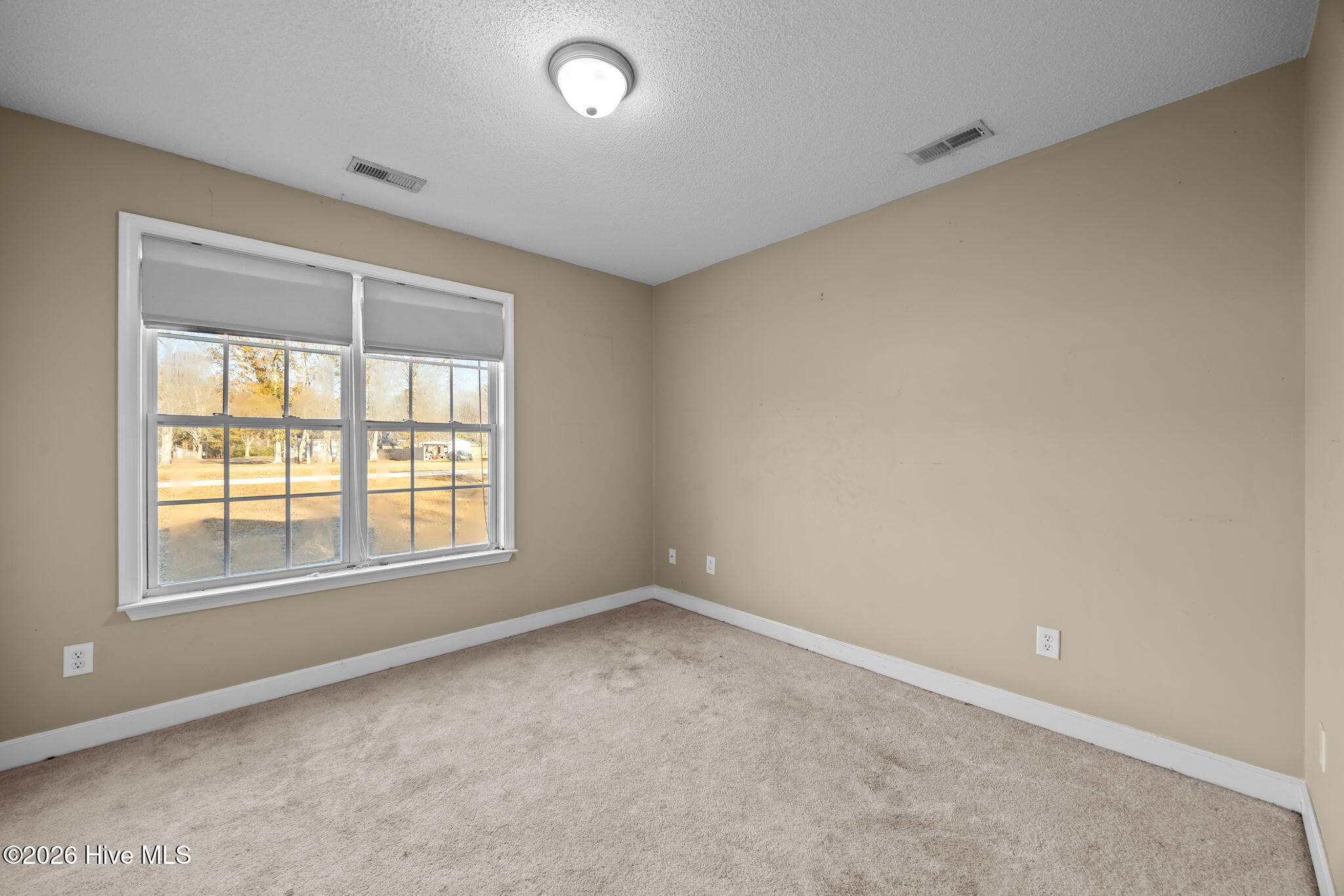 100522490 | Photo 26