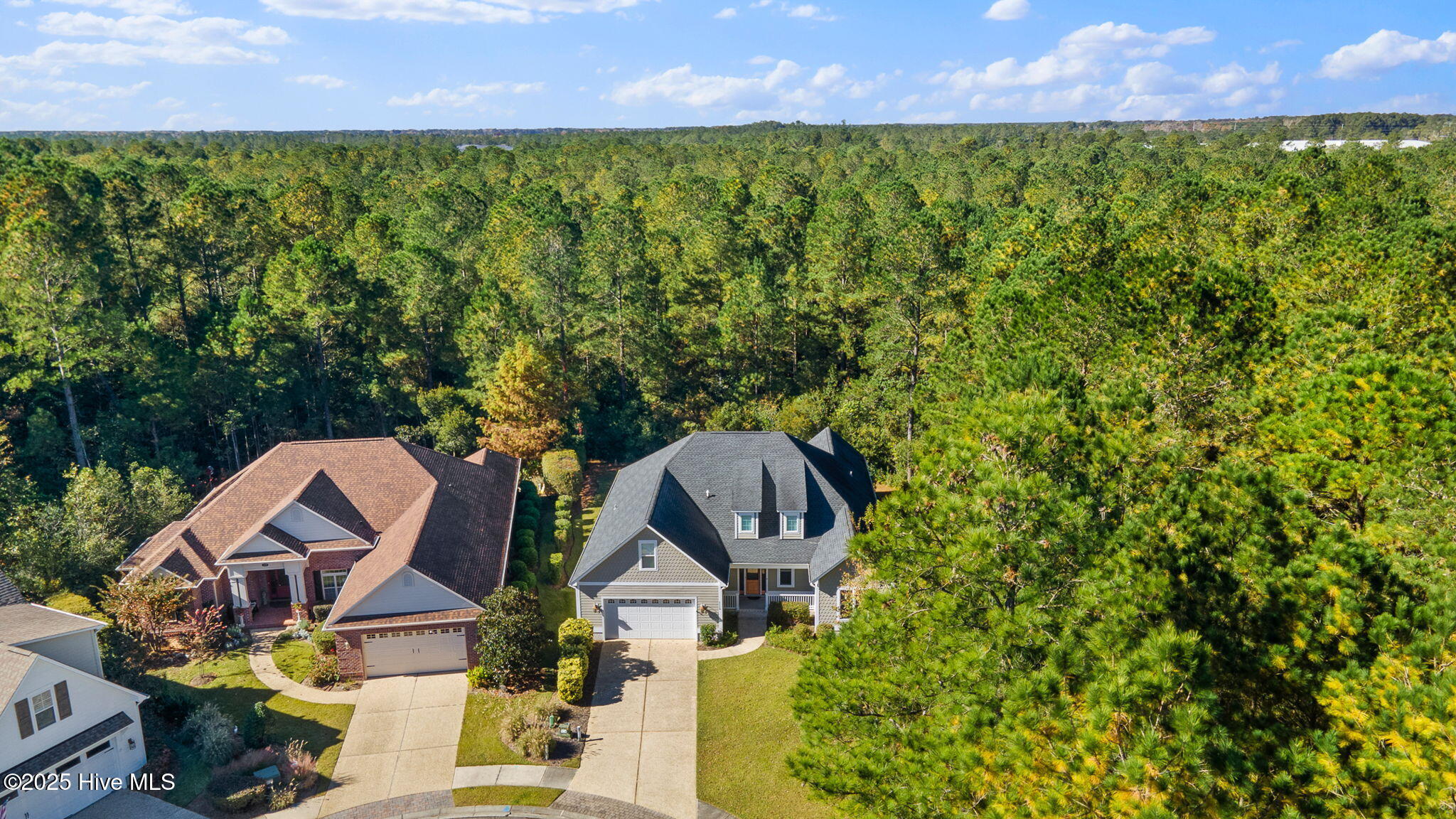 100542044 | Photo 51