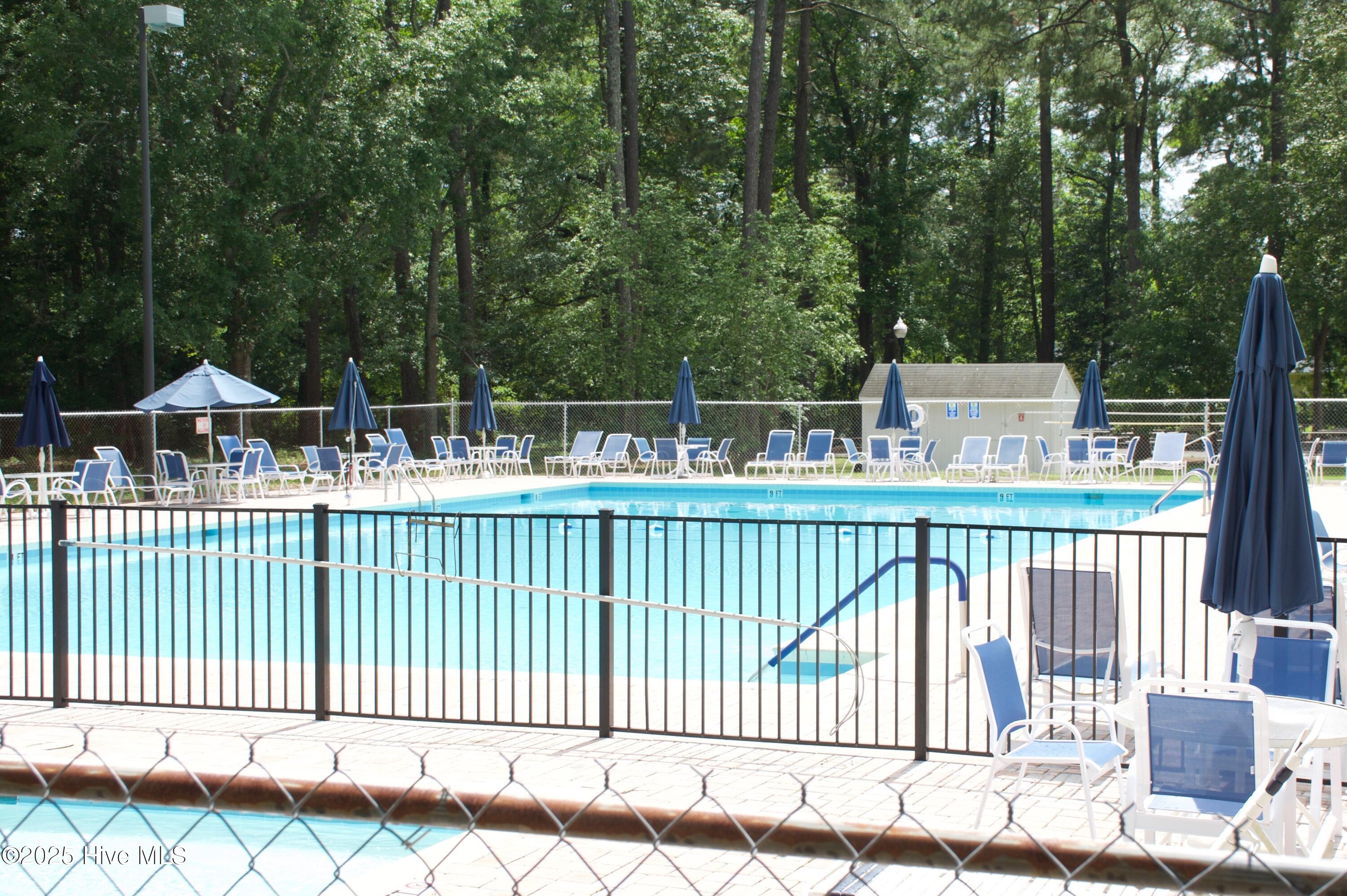 100515628 | Photo 50