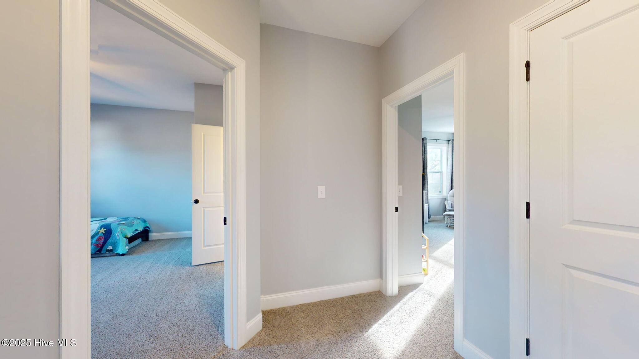 100518593 | Photo 37