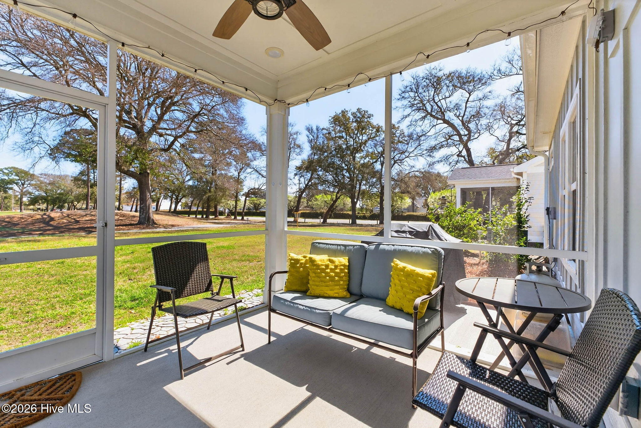 100561272 | Photo 47