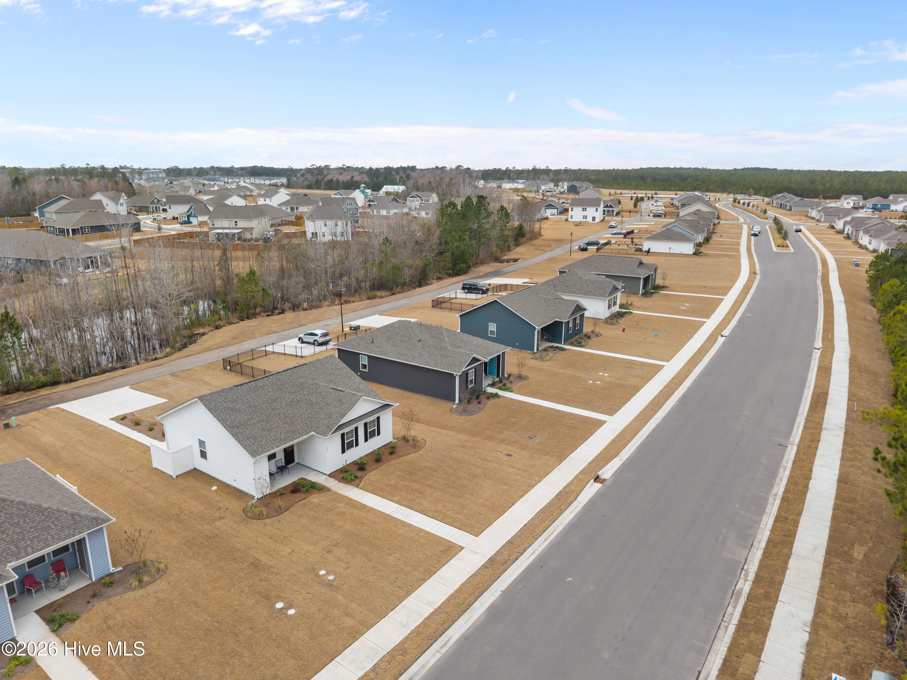 100555790 | Photo 50