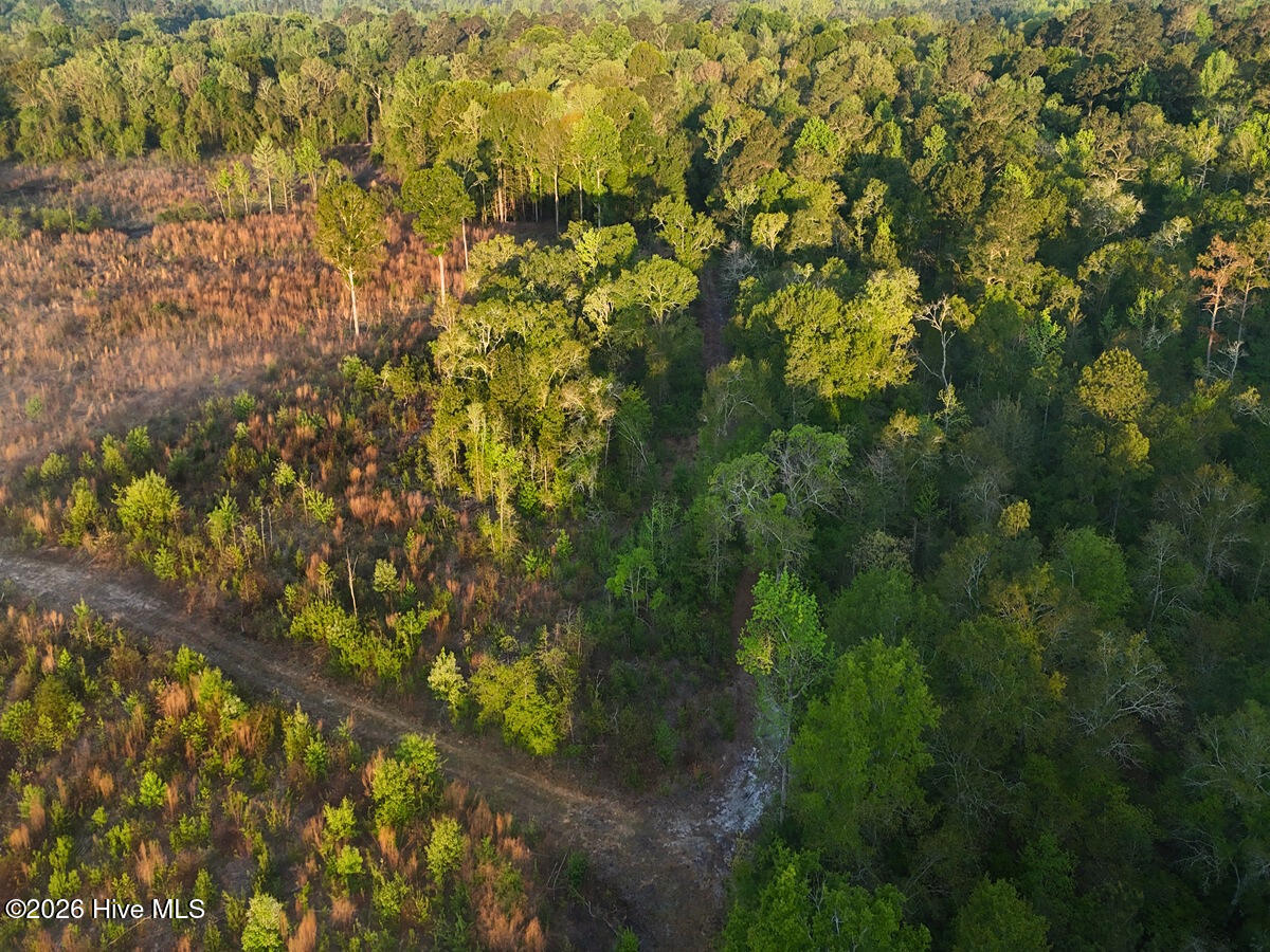 0 Durwood Evans Road, Beulaville, NC, 28518