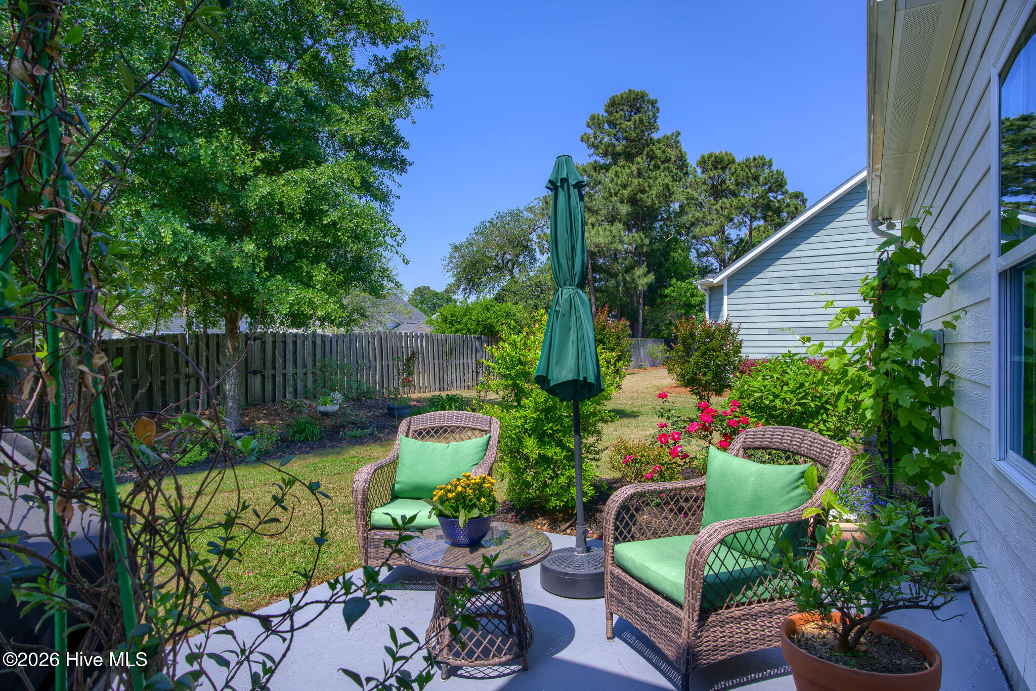 100569599 | Photo 31