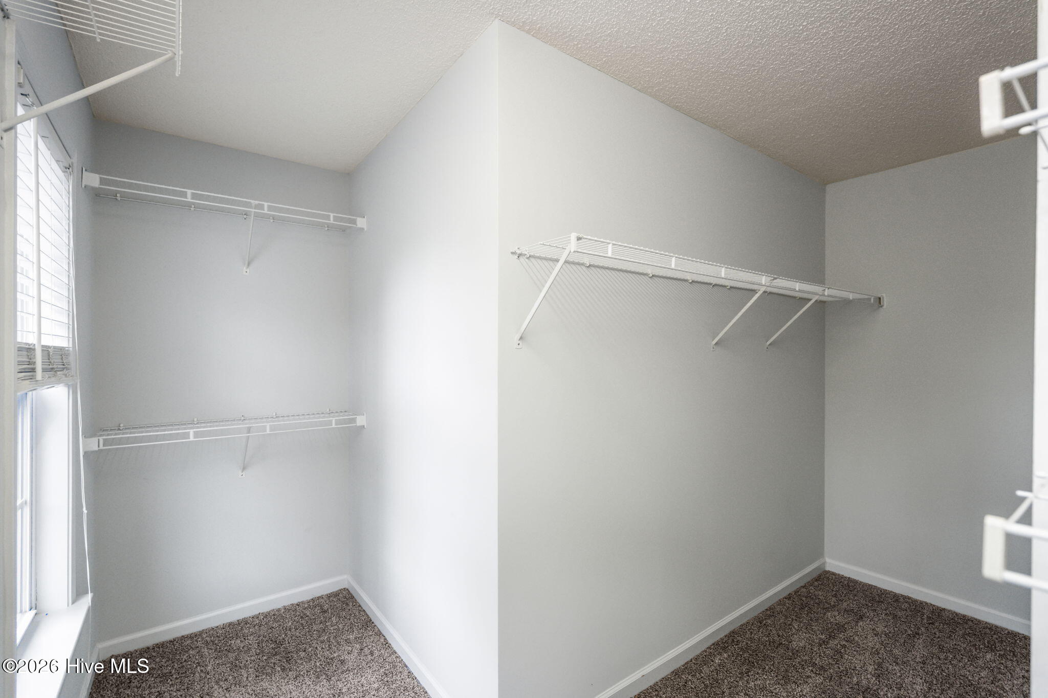 100558076 | Photo 28